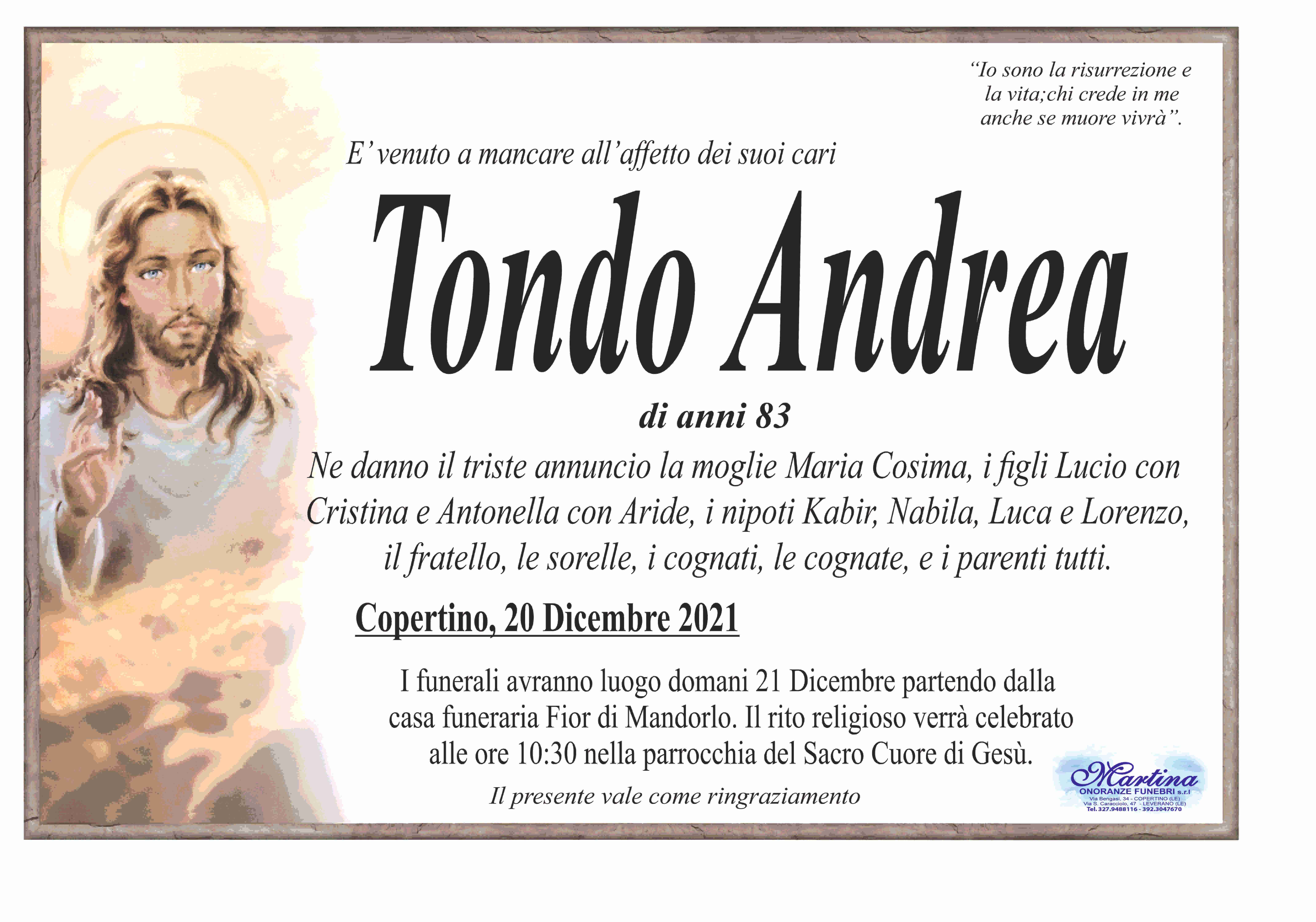 Andrea Tondo