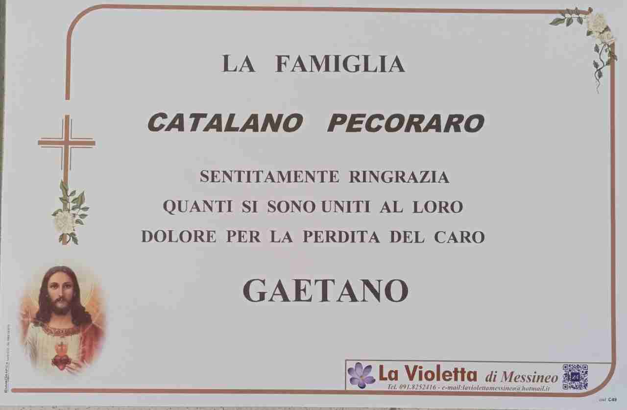Gaetano Catalano