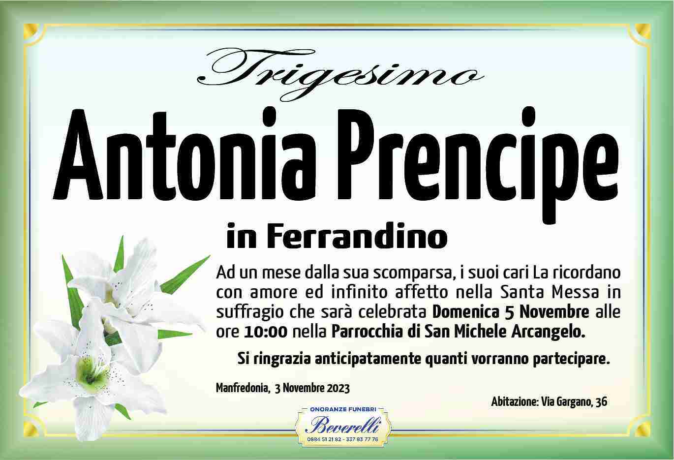 Antonia Prencipe
