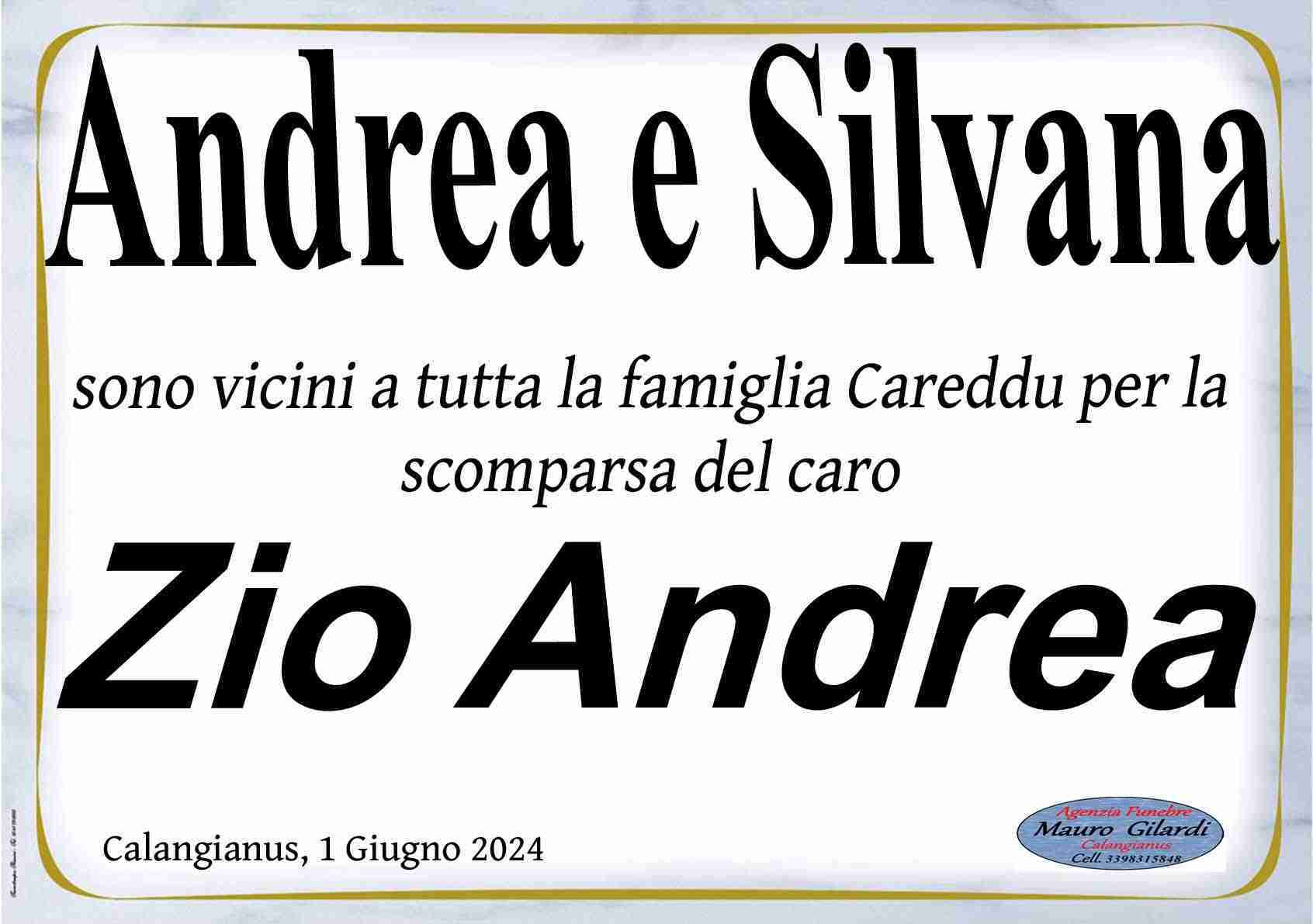 Andrea Careddu