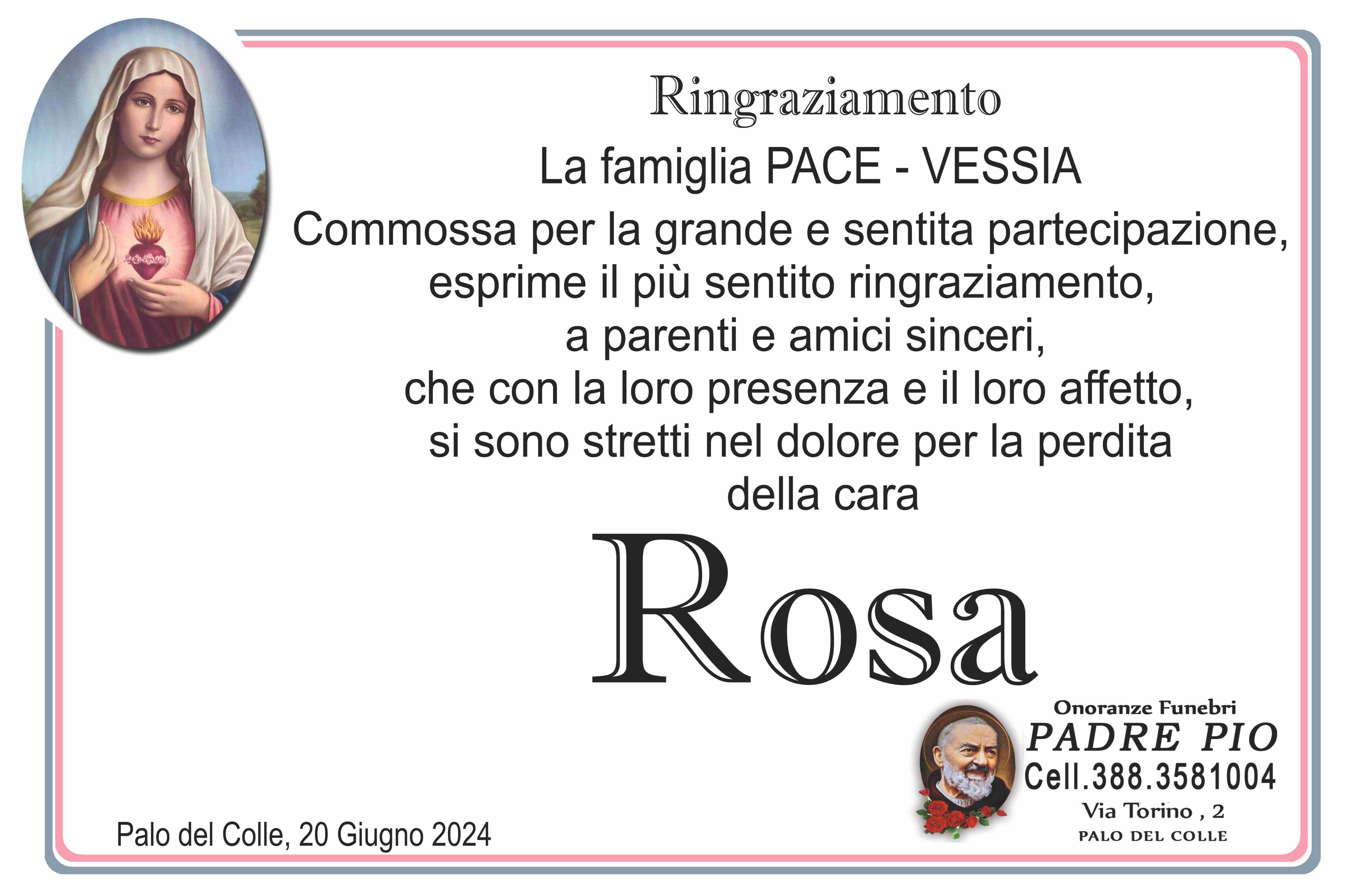 Rosa Pace