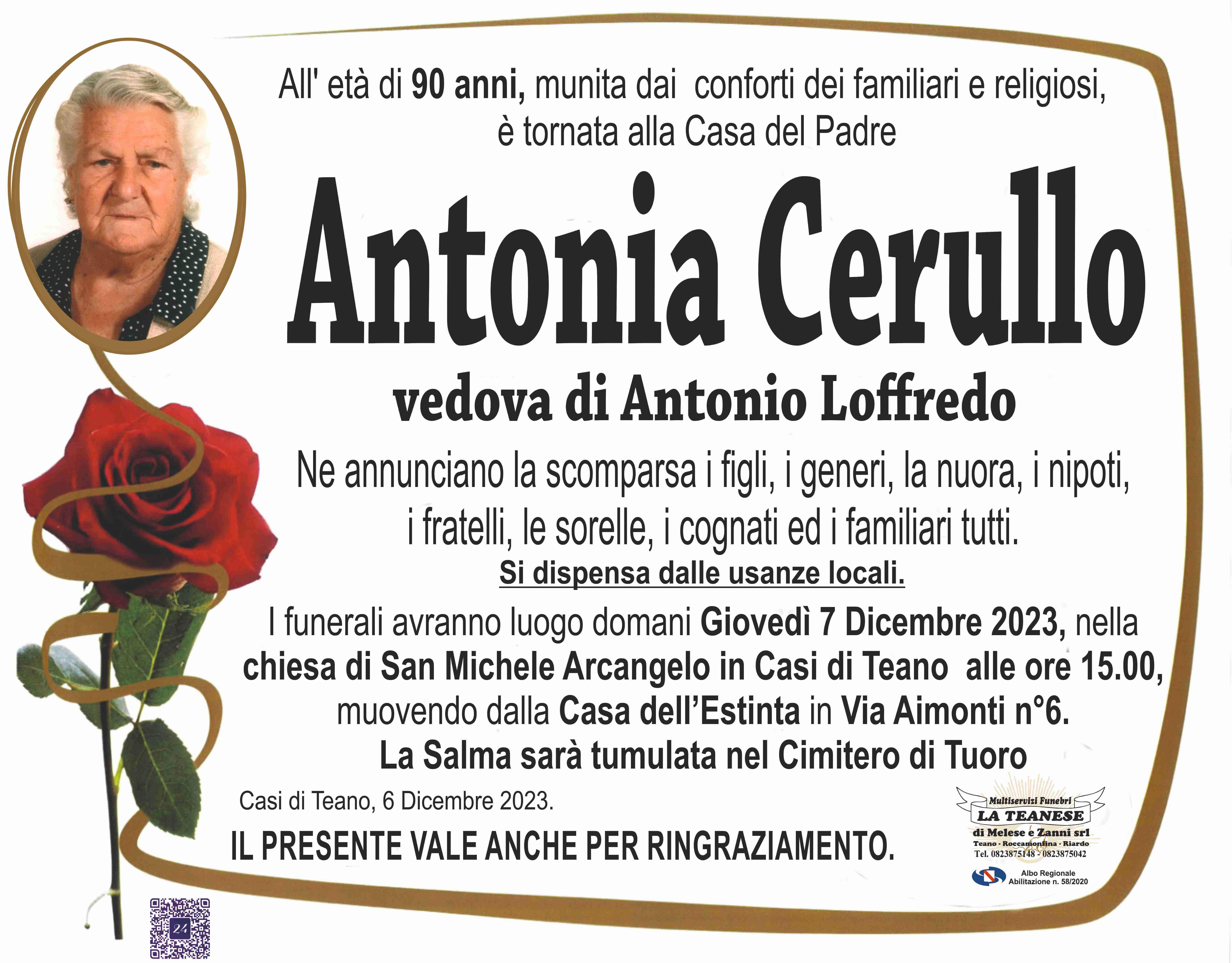 Antonia Cerullo