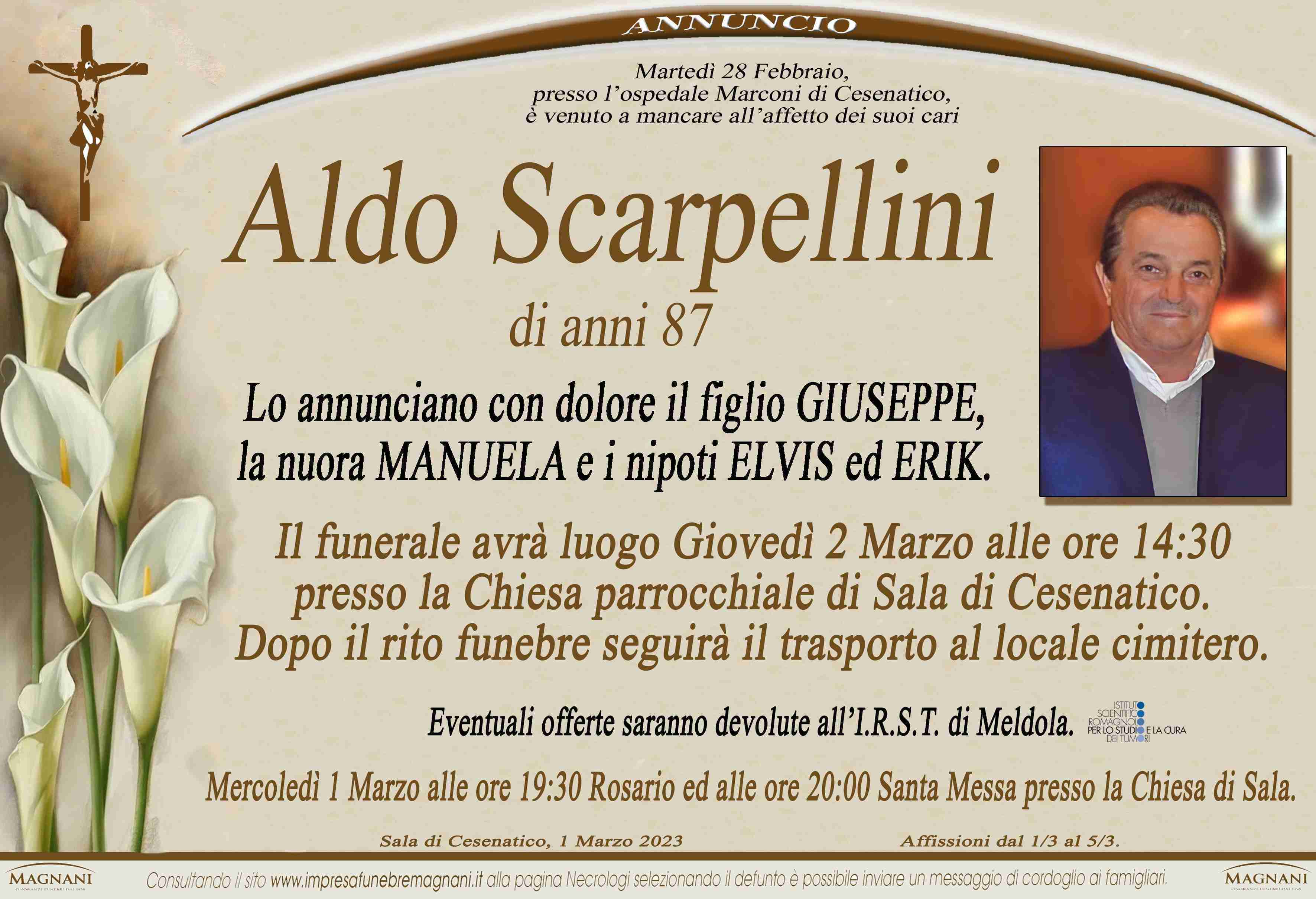 Aldo Scarpellini