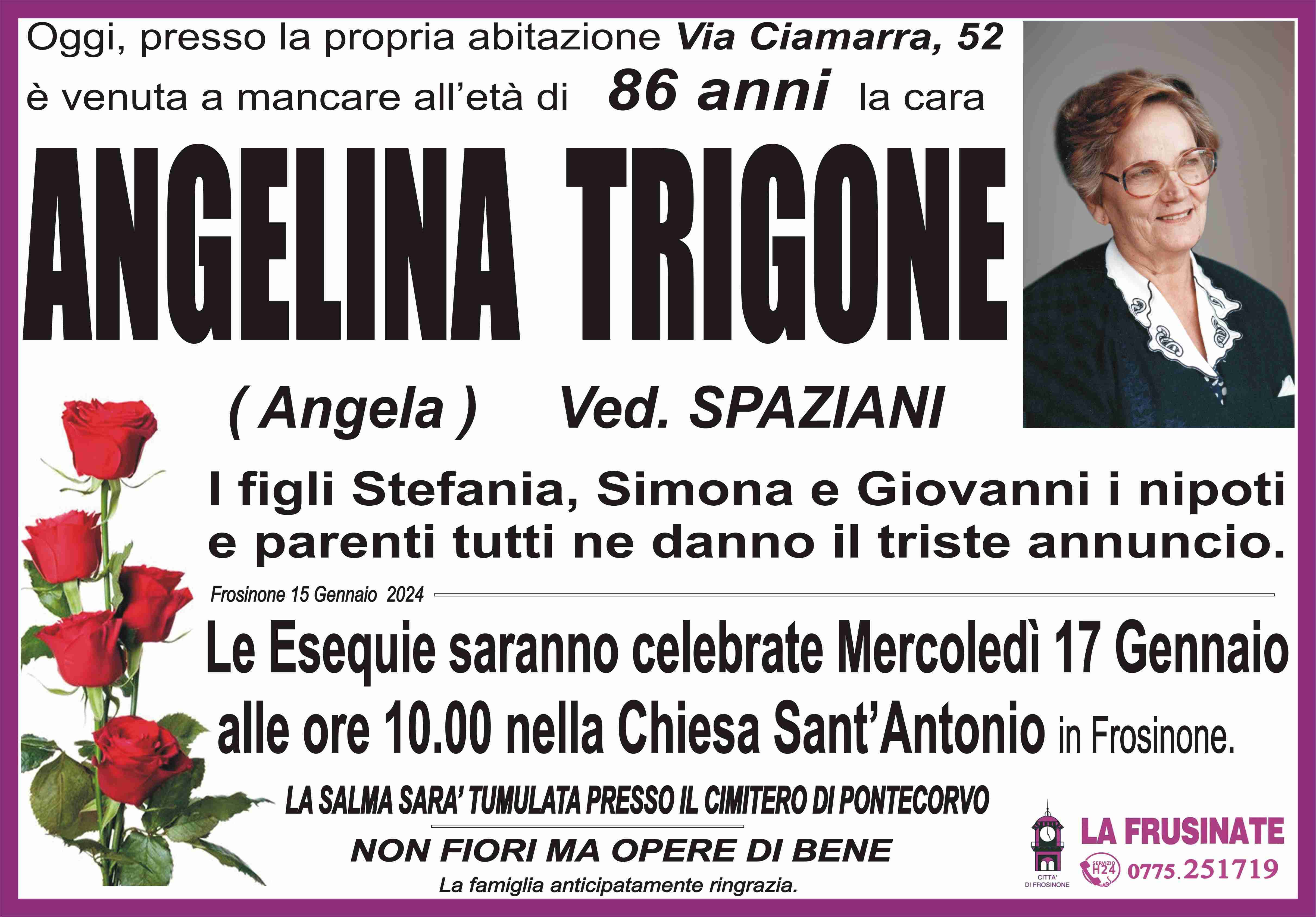 Angelina Trigone