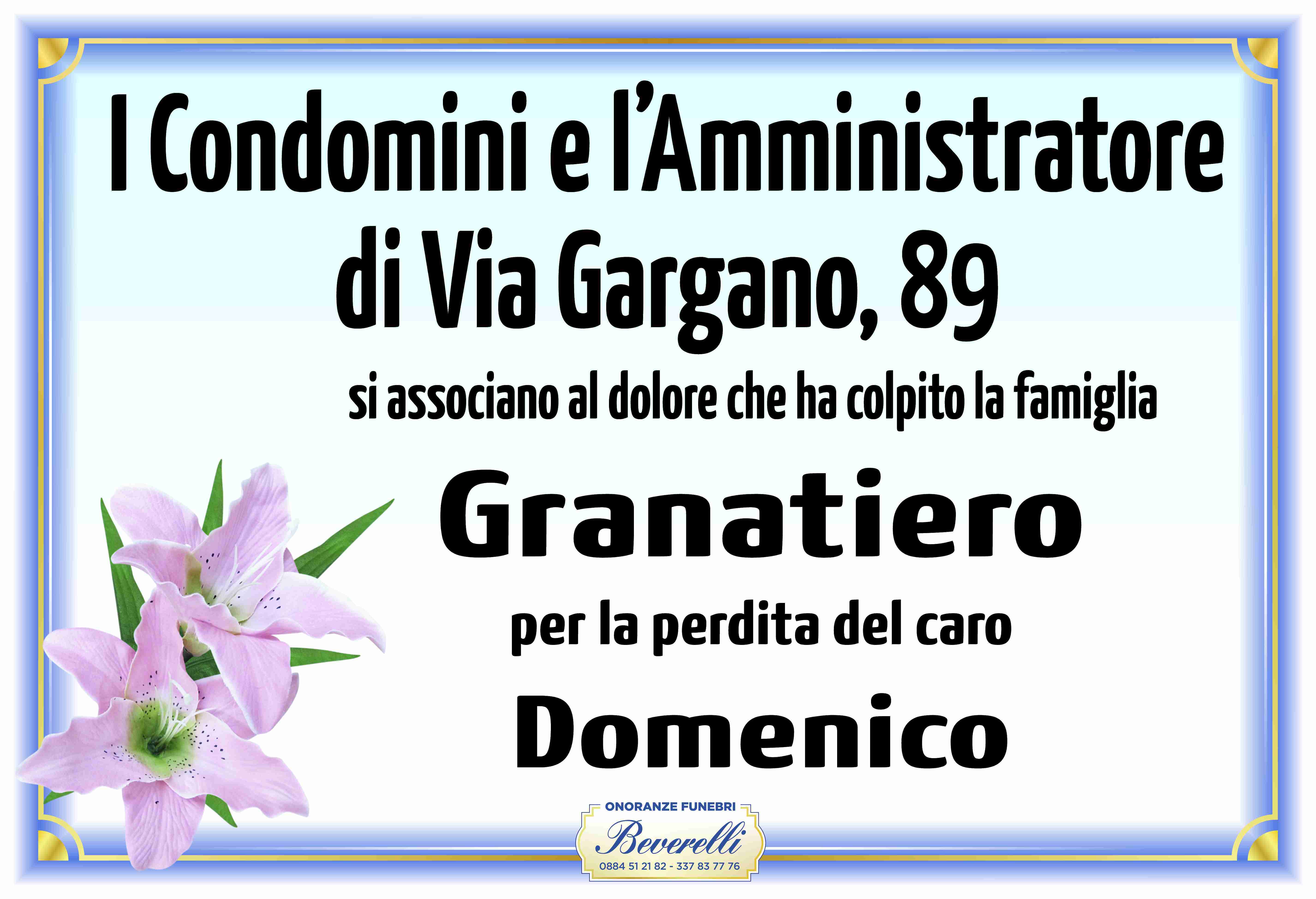 Domenico Granatiero