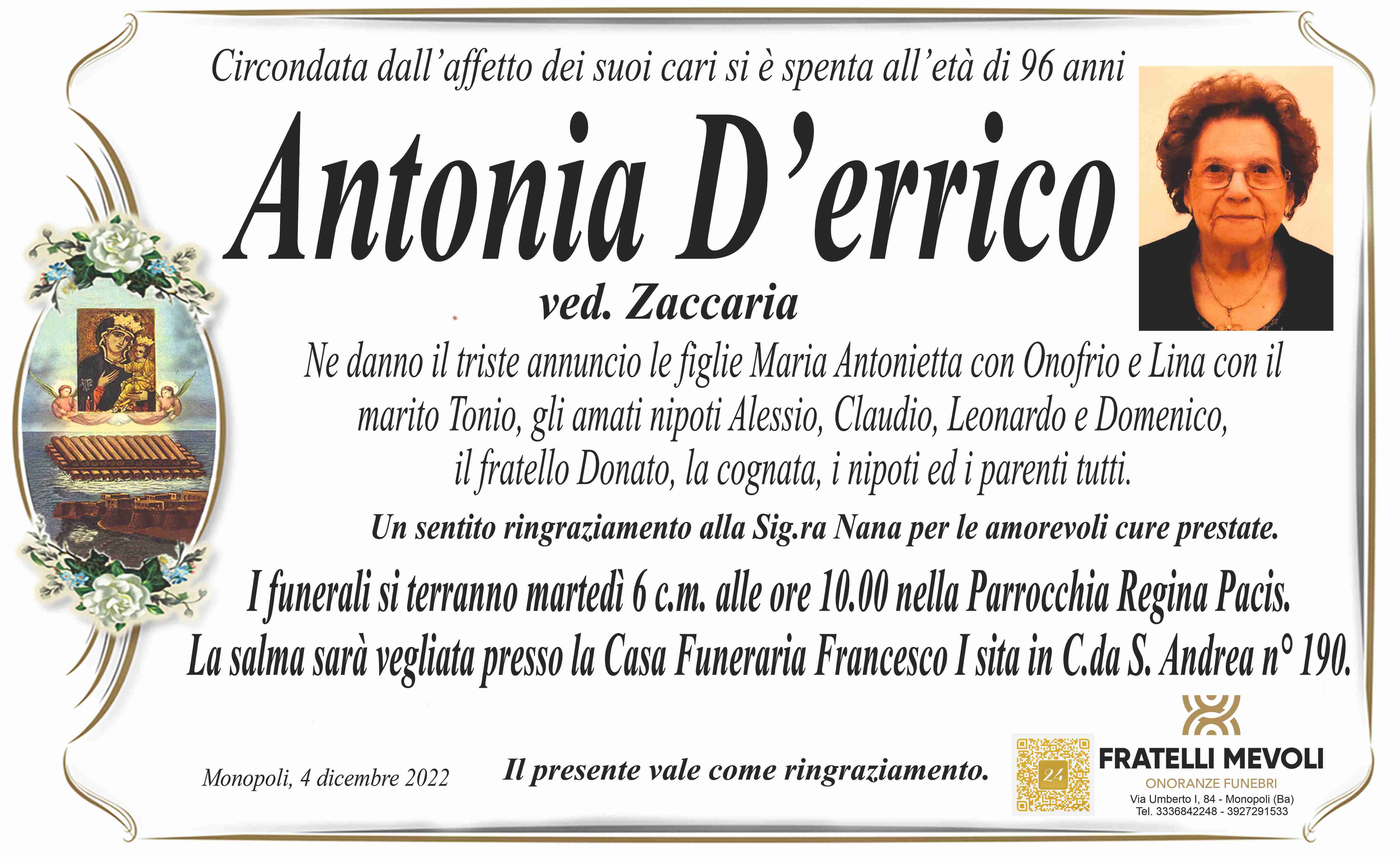 Antonia D'errico