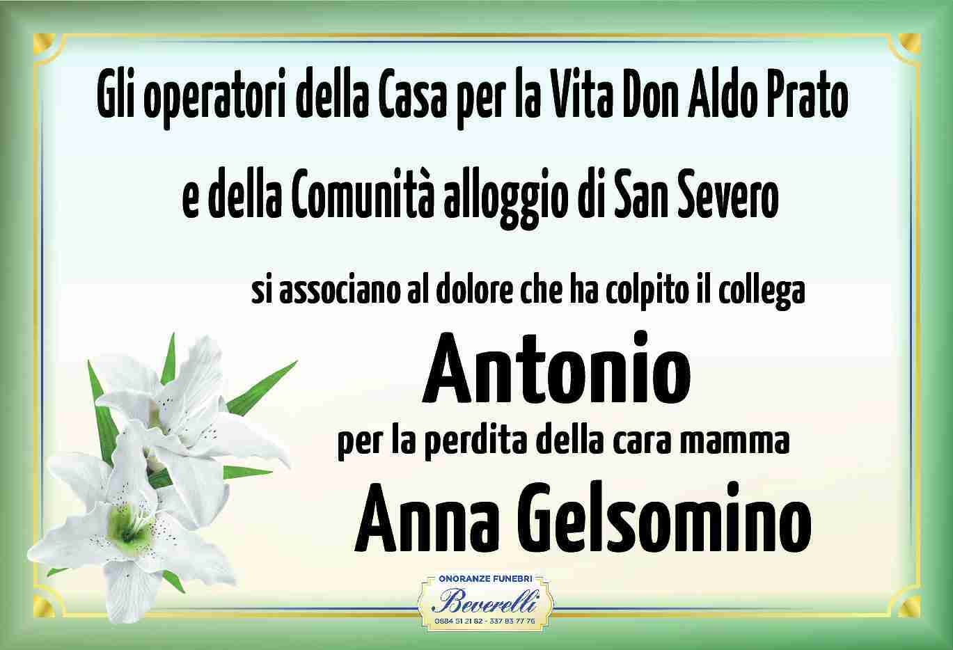 Anna Gelsomino