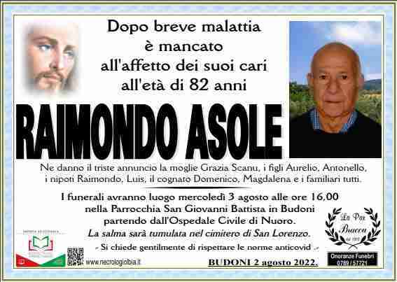 Raimondo Asole
