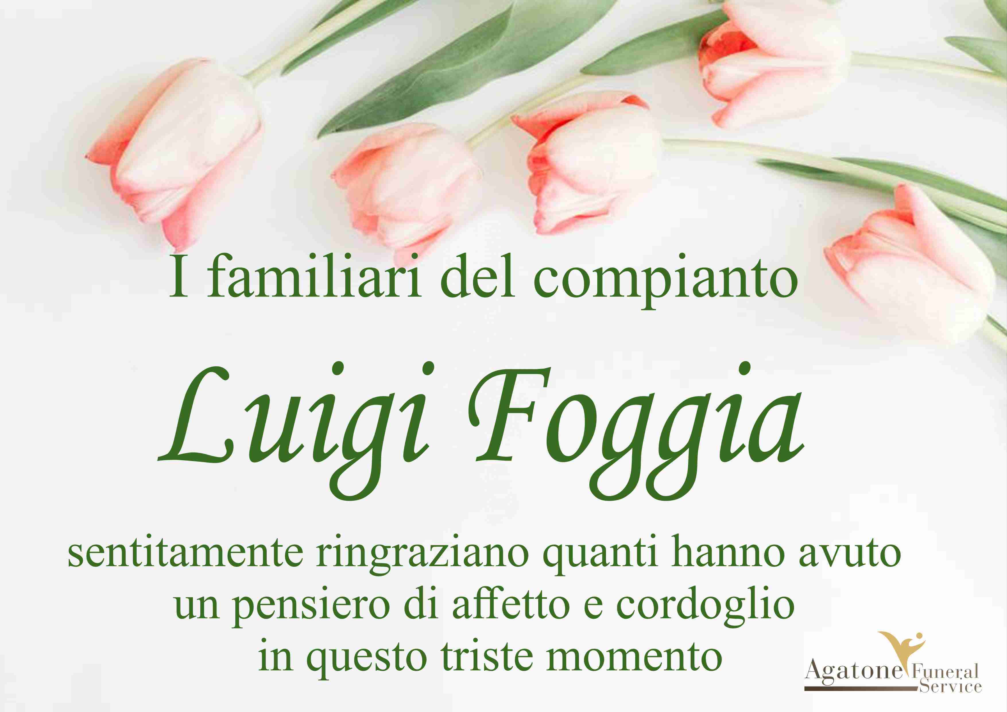 Luigi Foggia