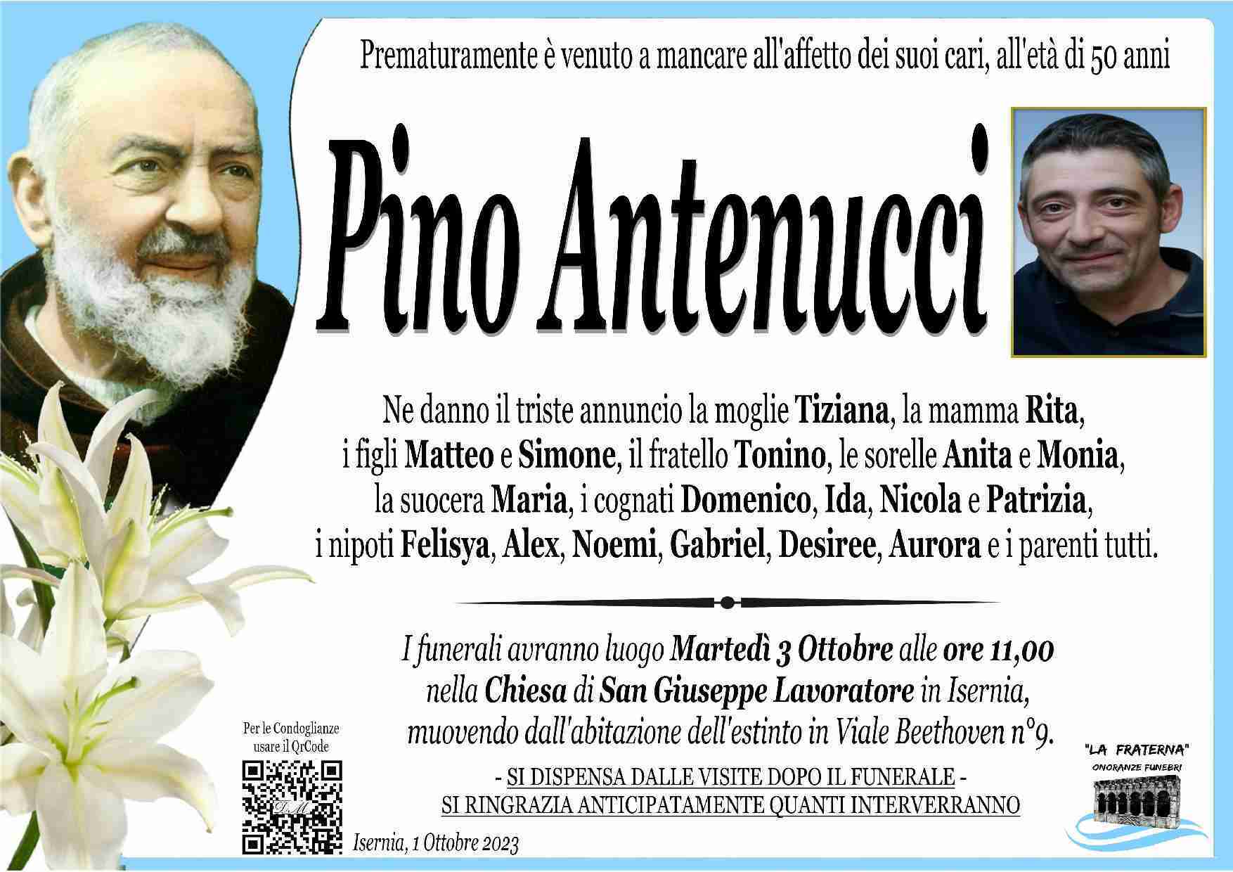 Pino Antenucci