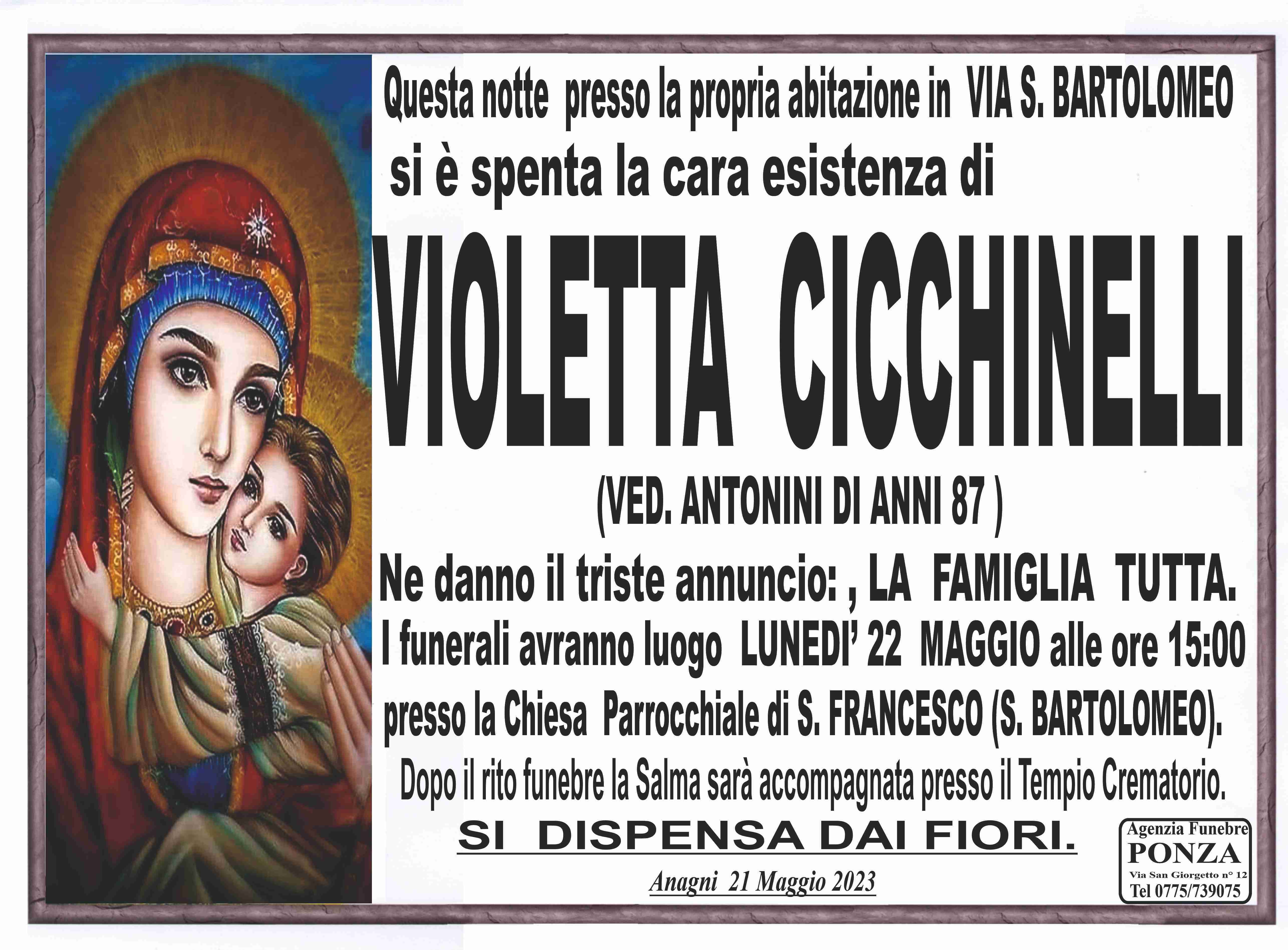 Violetta Cicchinelli