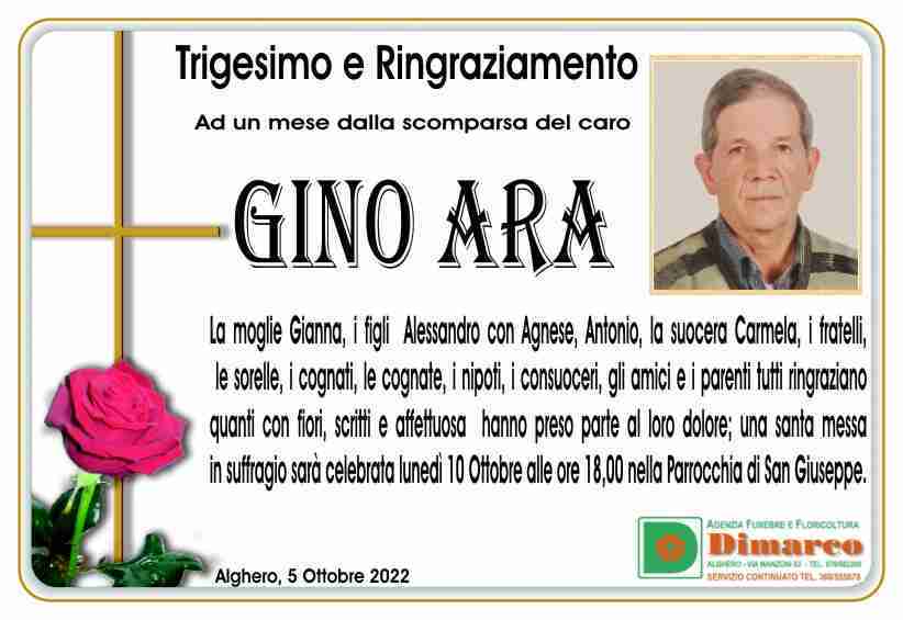 Gino Ara