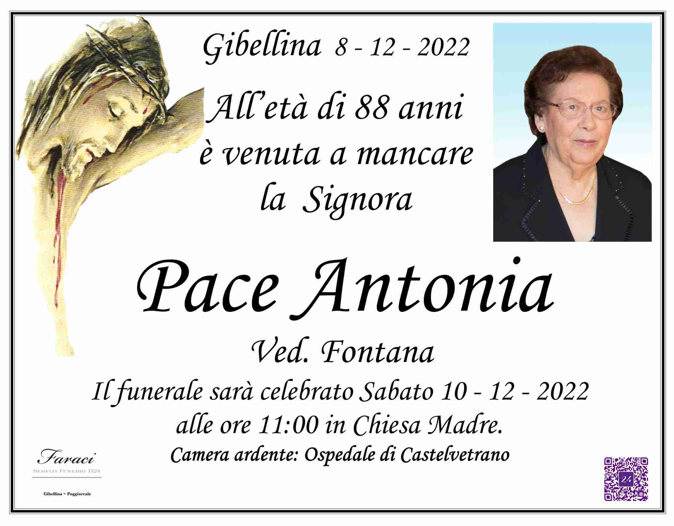 Antonia Pace