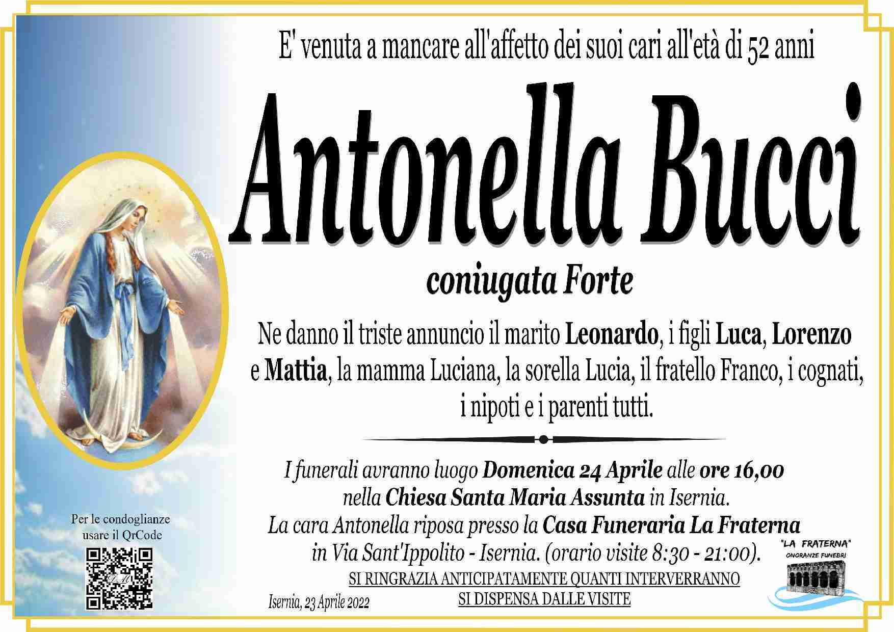 Antonella Bucci