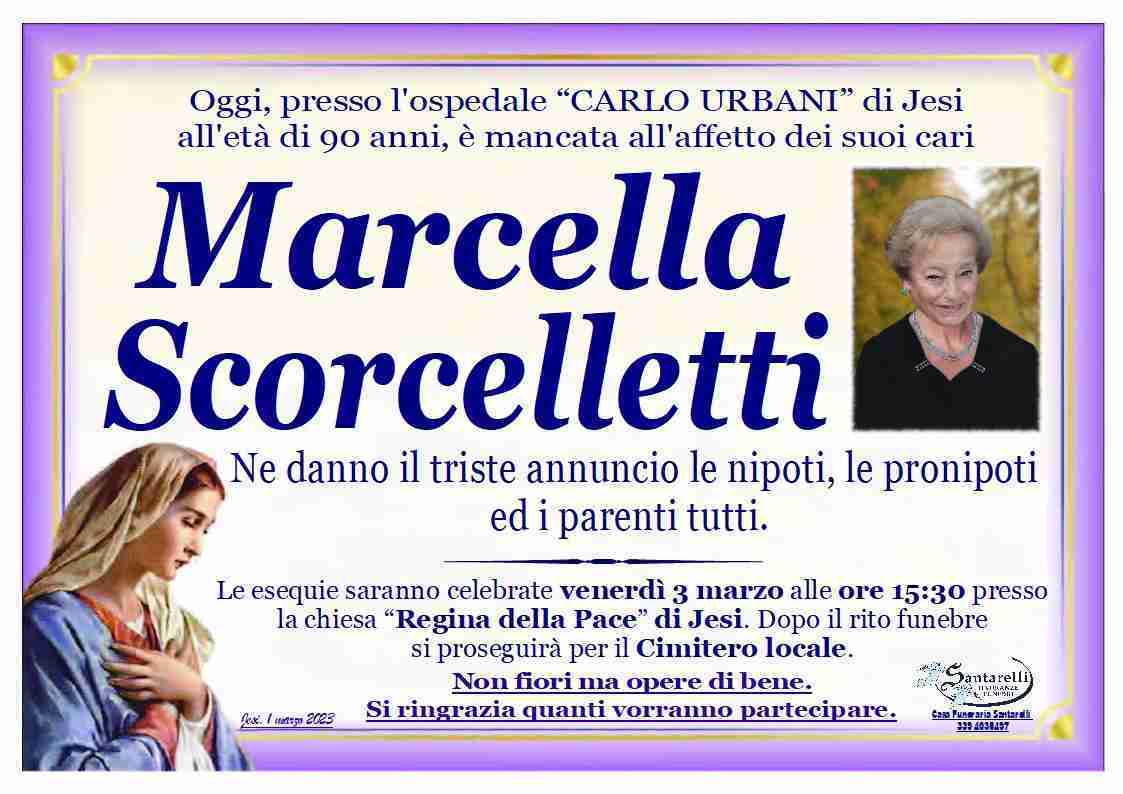 Marcella Scorcelletti