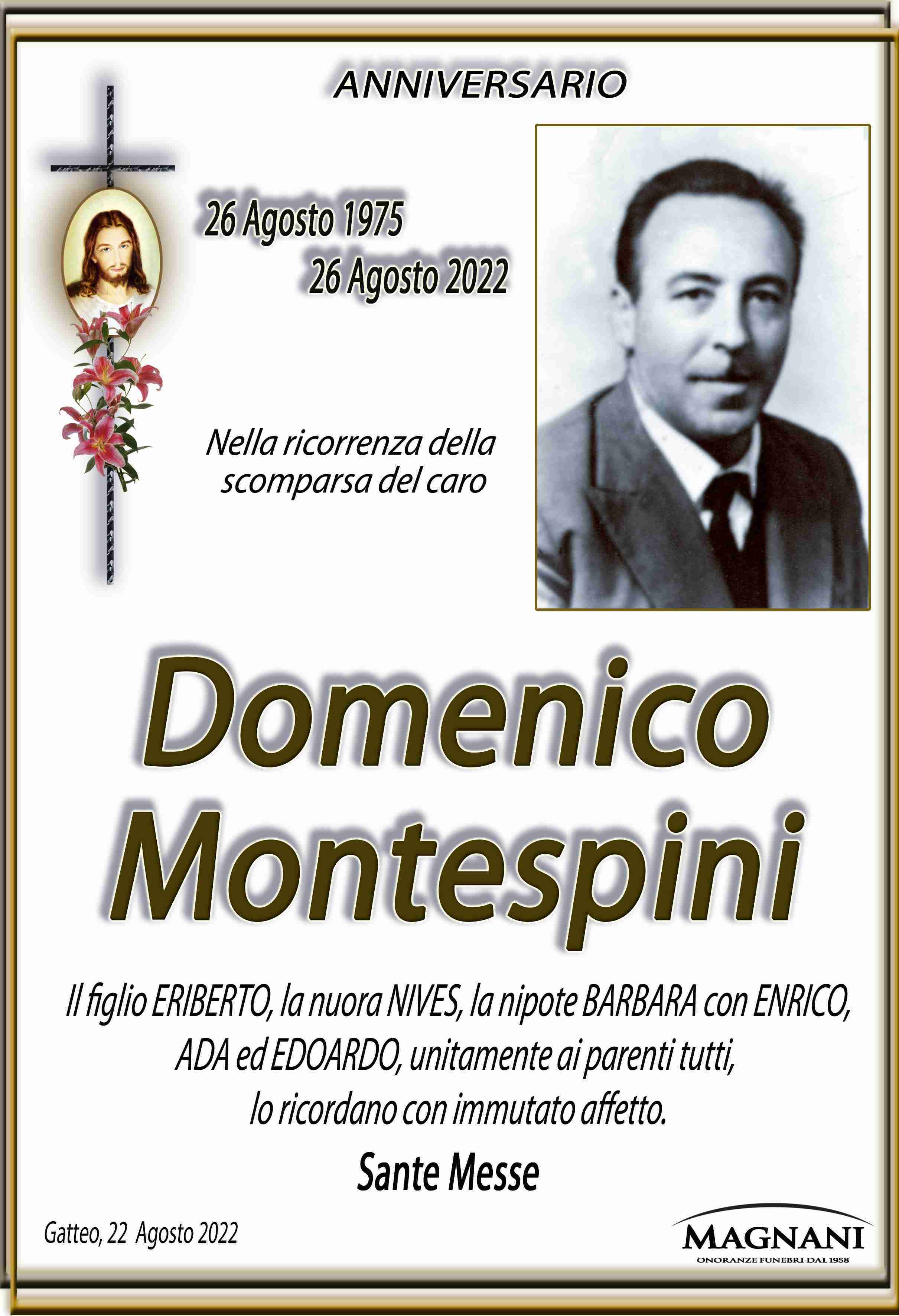 Domenico Montespini