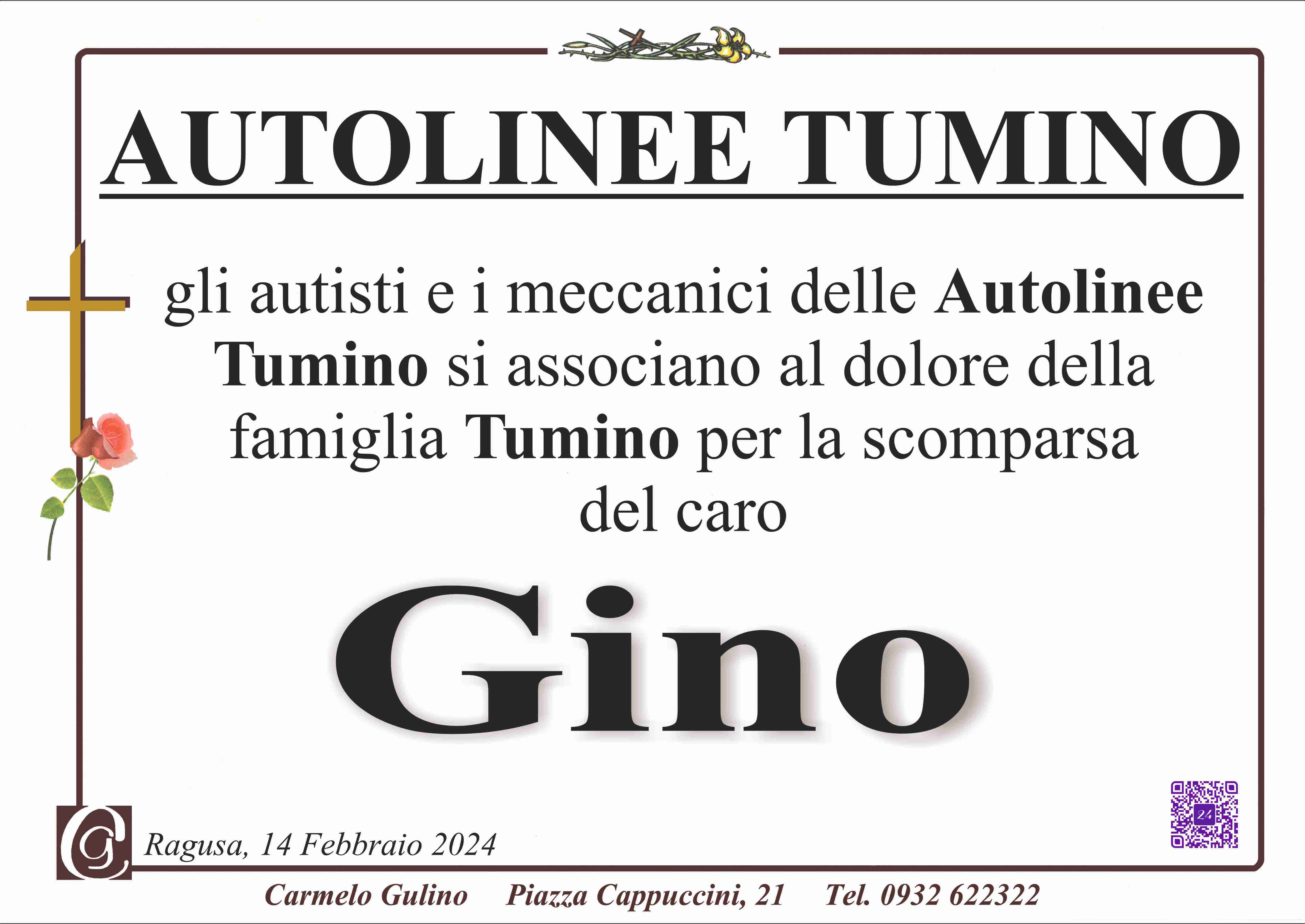 Gino Tumino