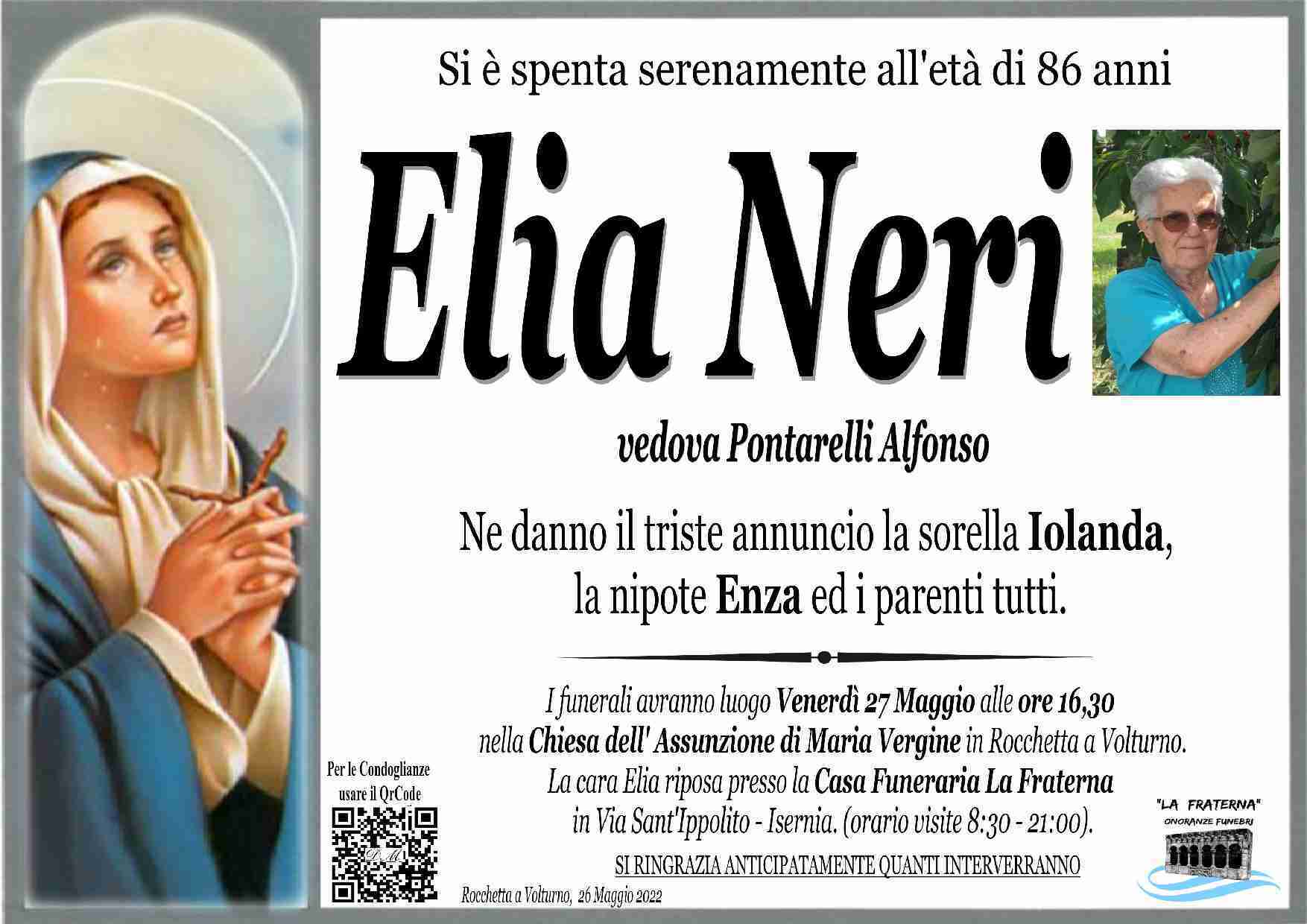Elia Neri