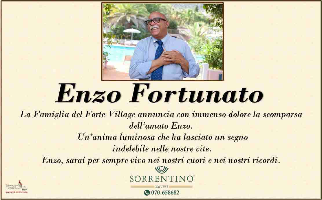 Vincenzo Fortunato