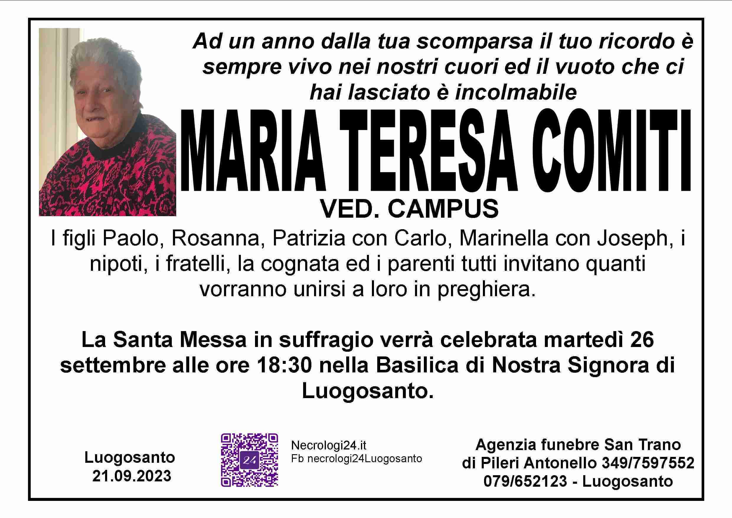 Maria Teresa Comiti