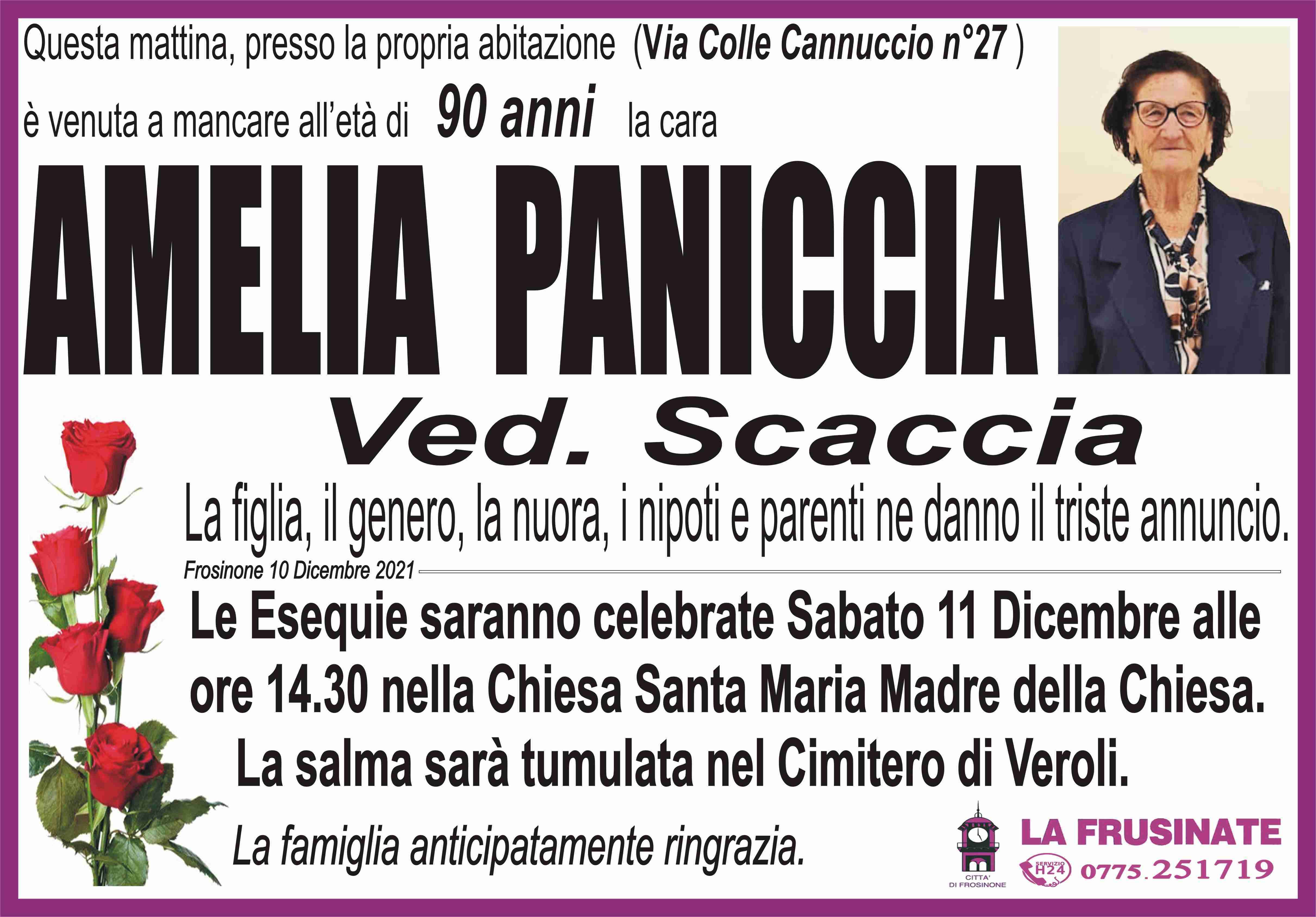 Amelia Paniccia