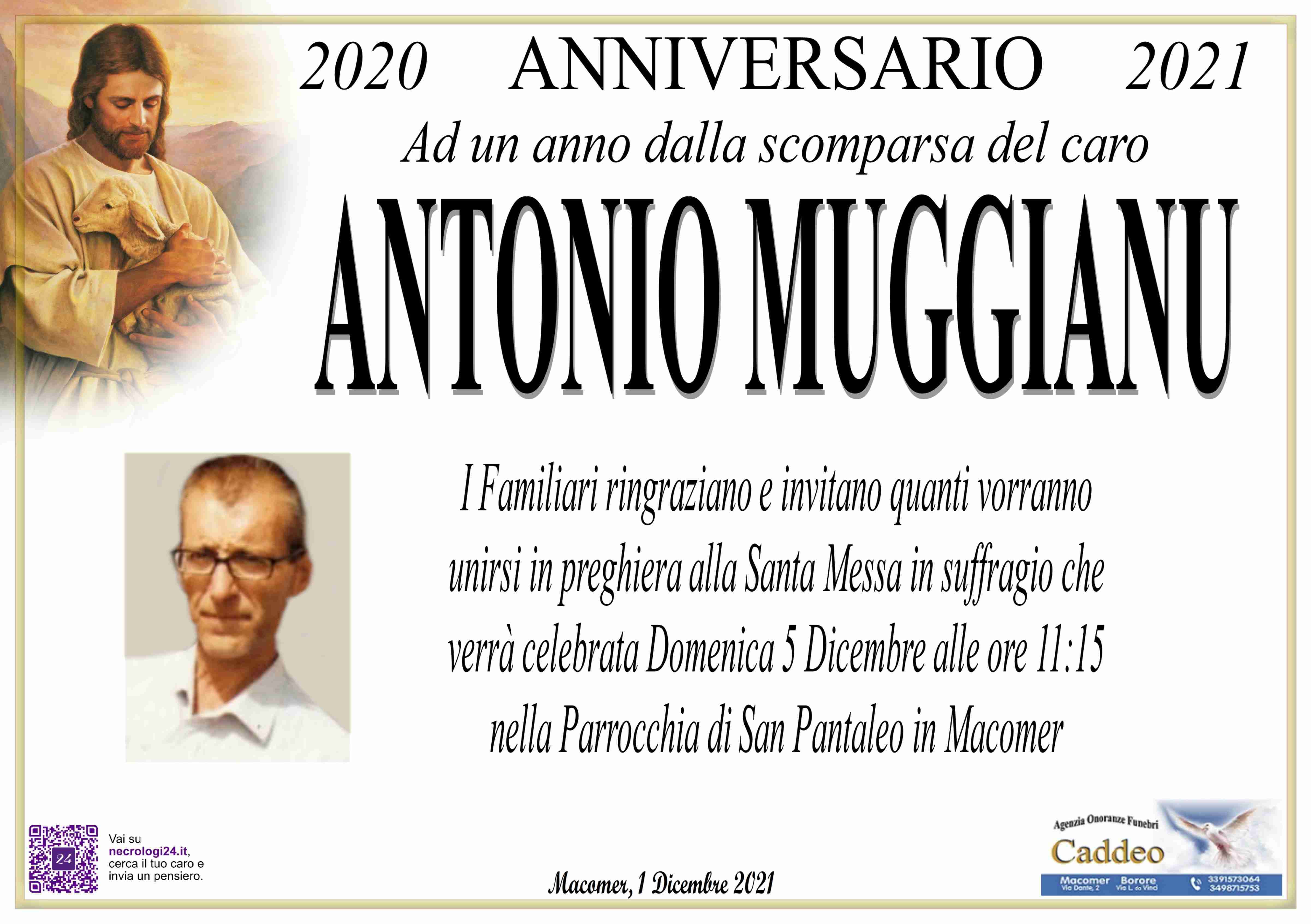 Antonio Pantaleo Muggianu