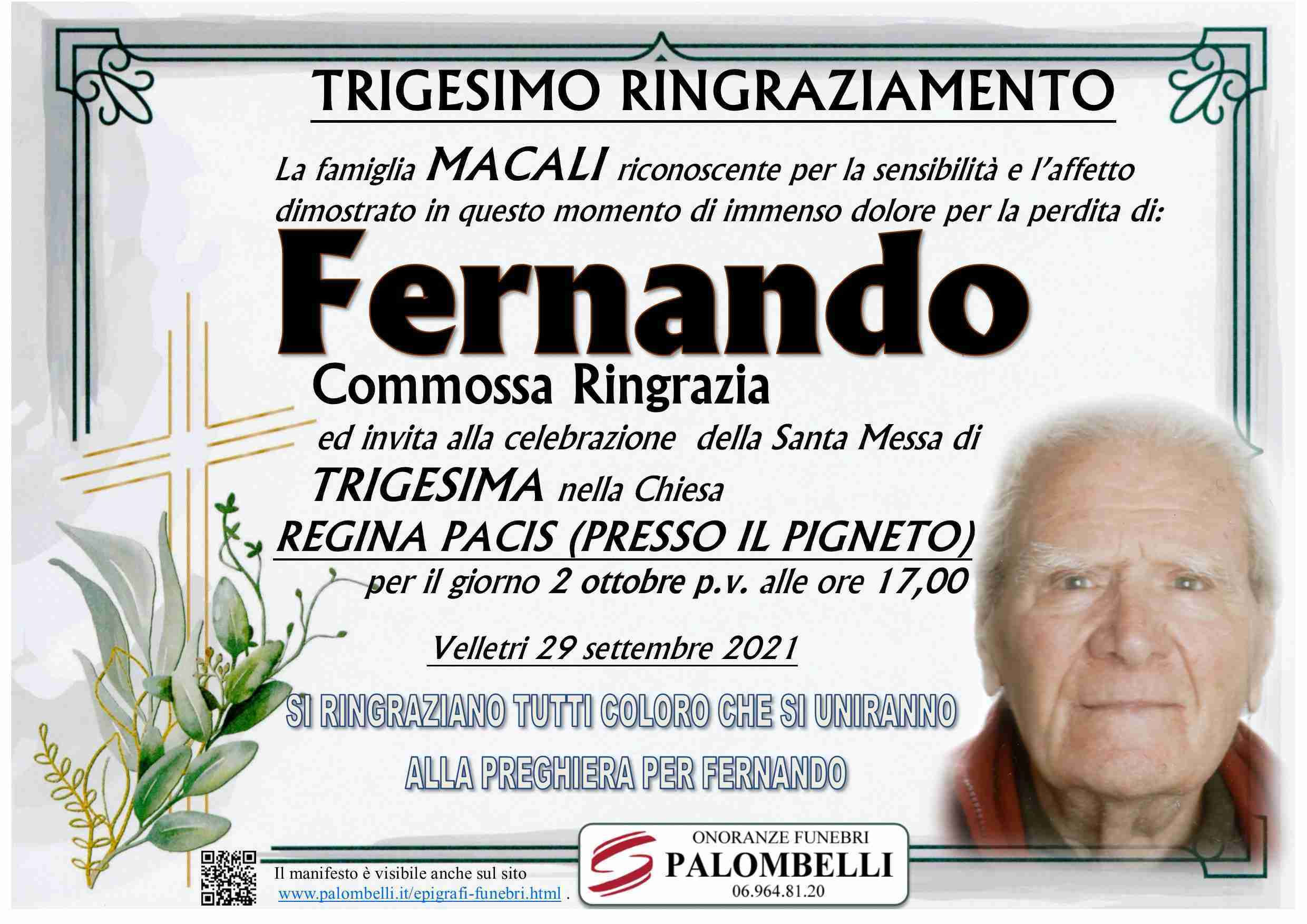 Fernando Macali