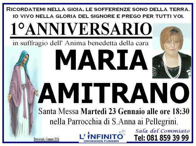 Maria Amitrano