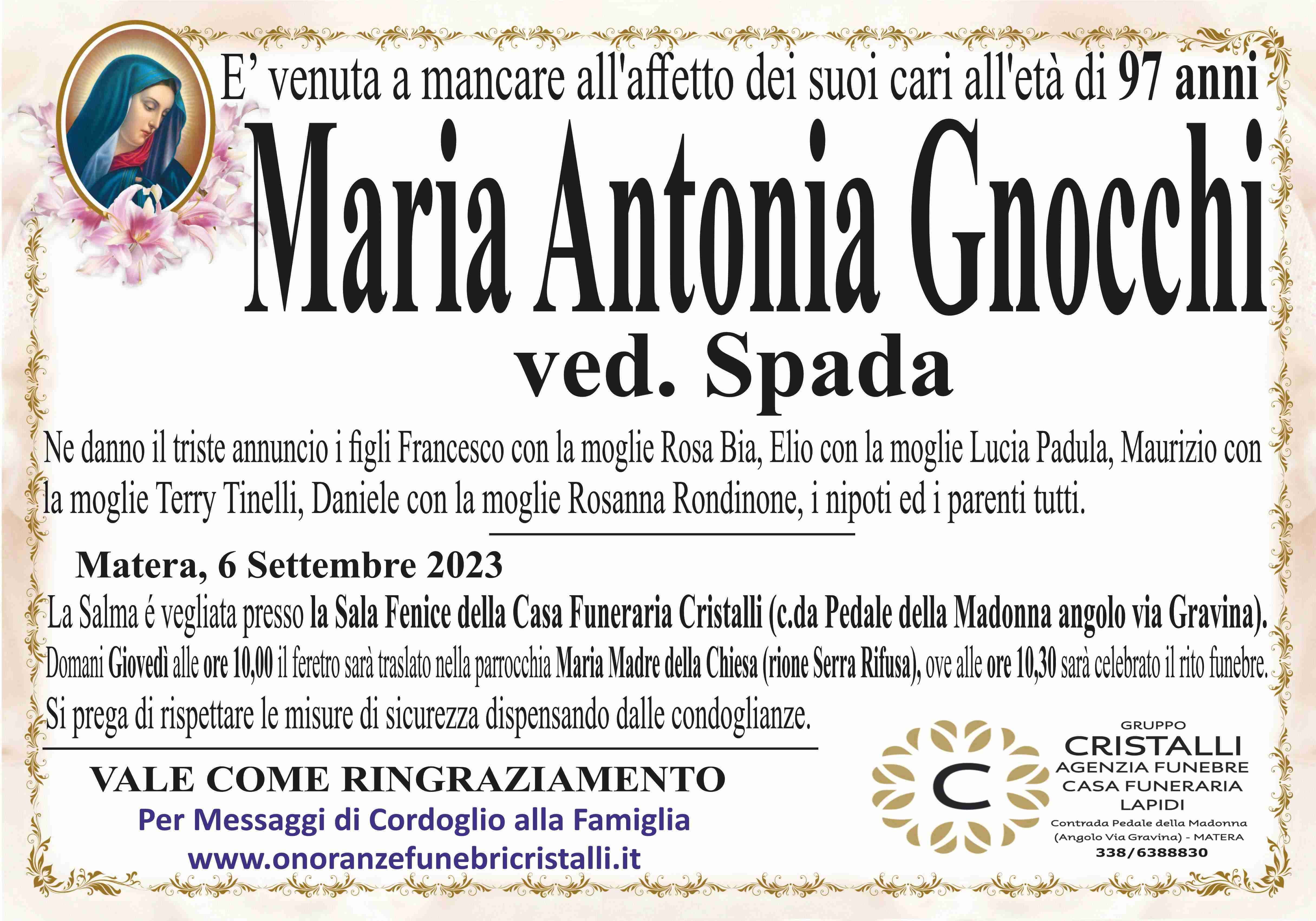Maria Antonia Gnocchi