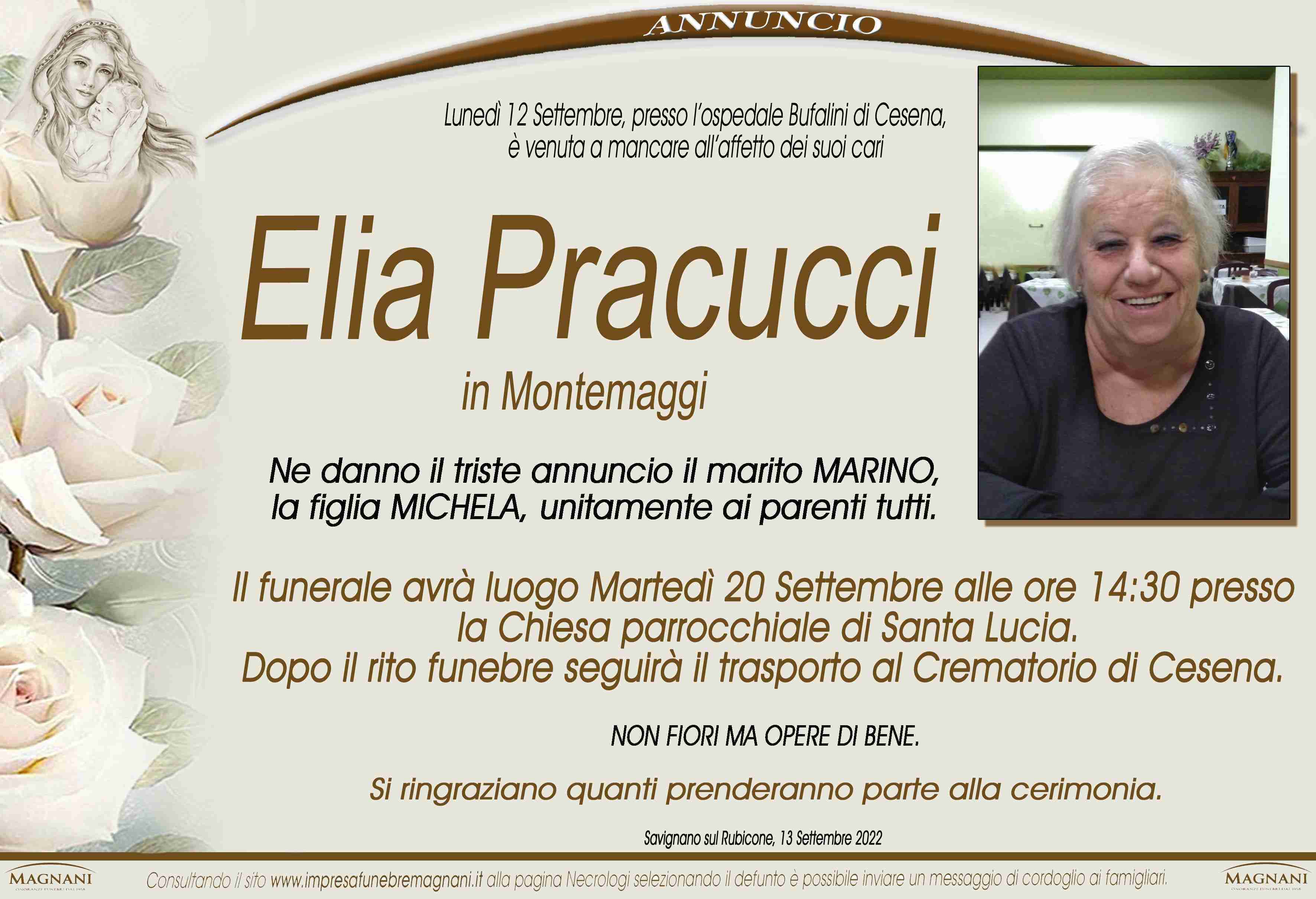 Elia Pracucci