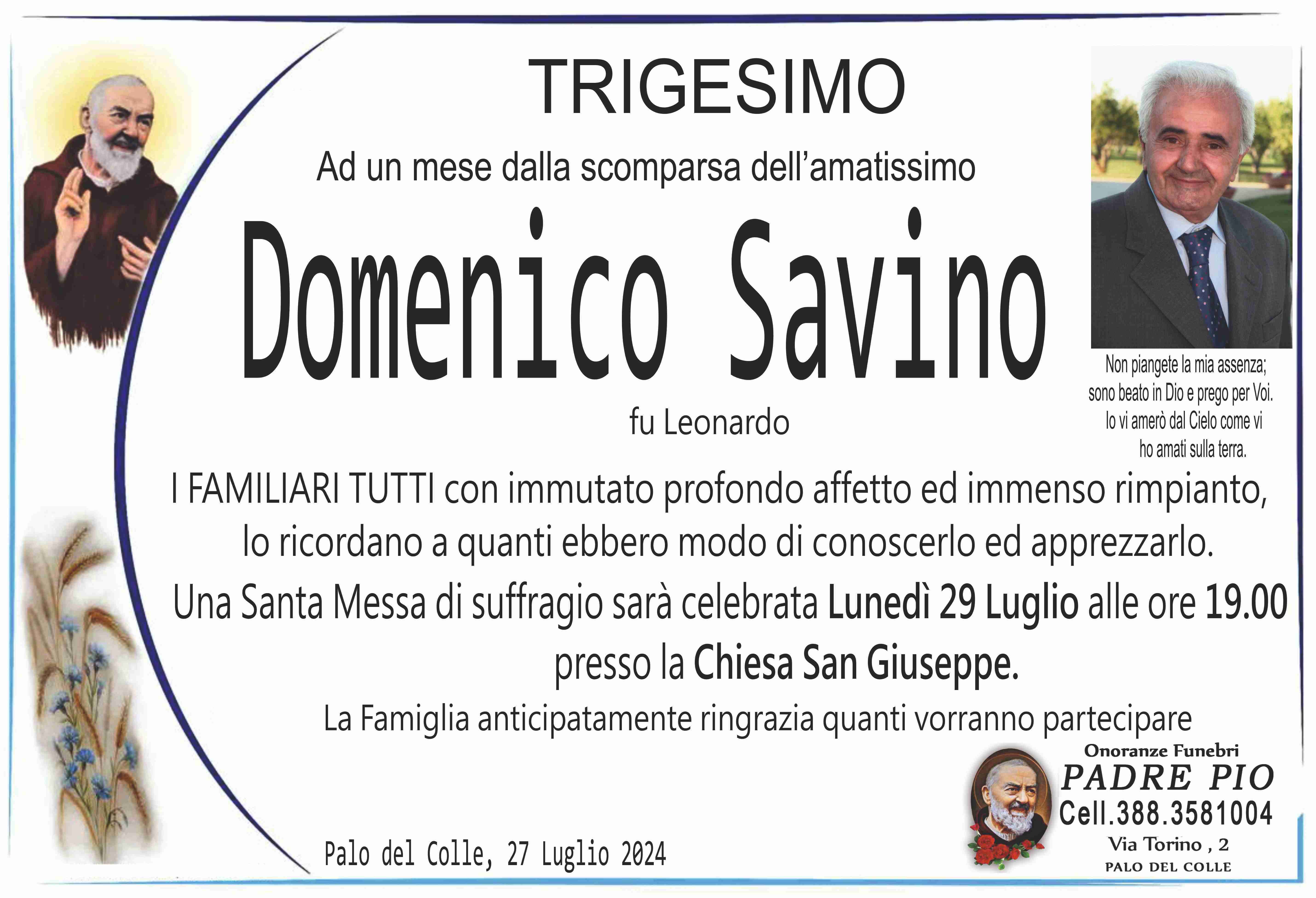 Domenico Savino