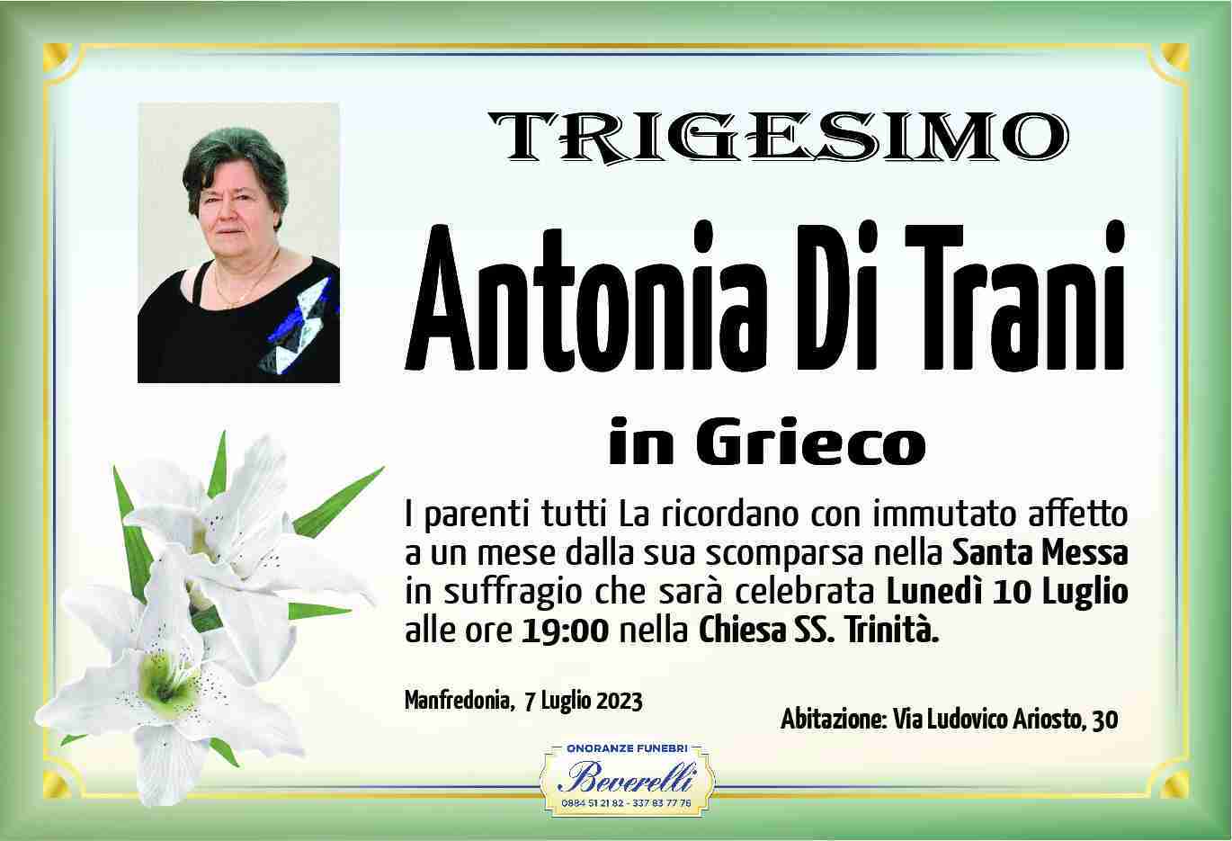 Antonia Di Trani