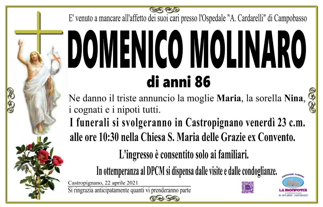 Domenico Molinaro