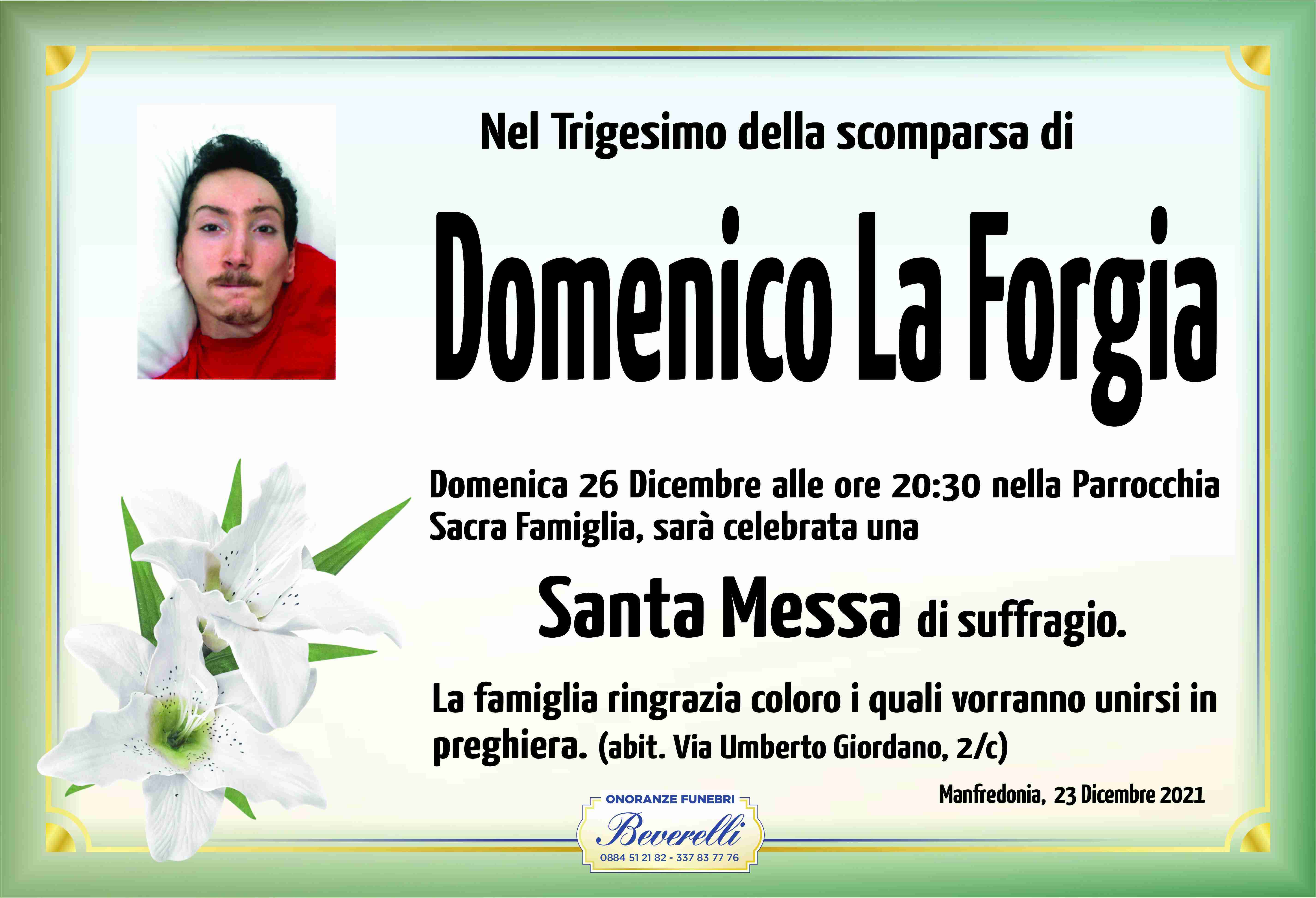 Domenico La Forgia