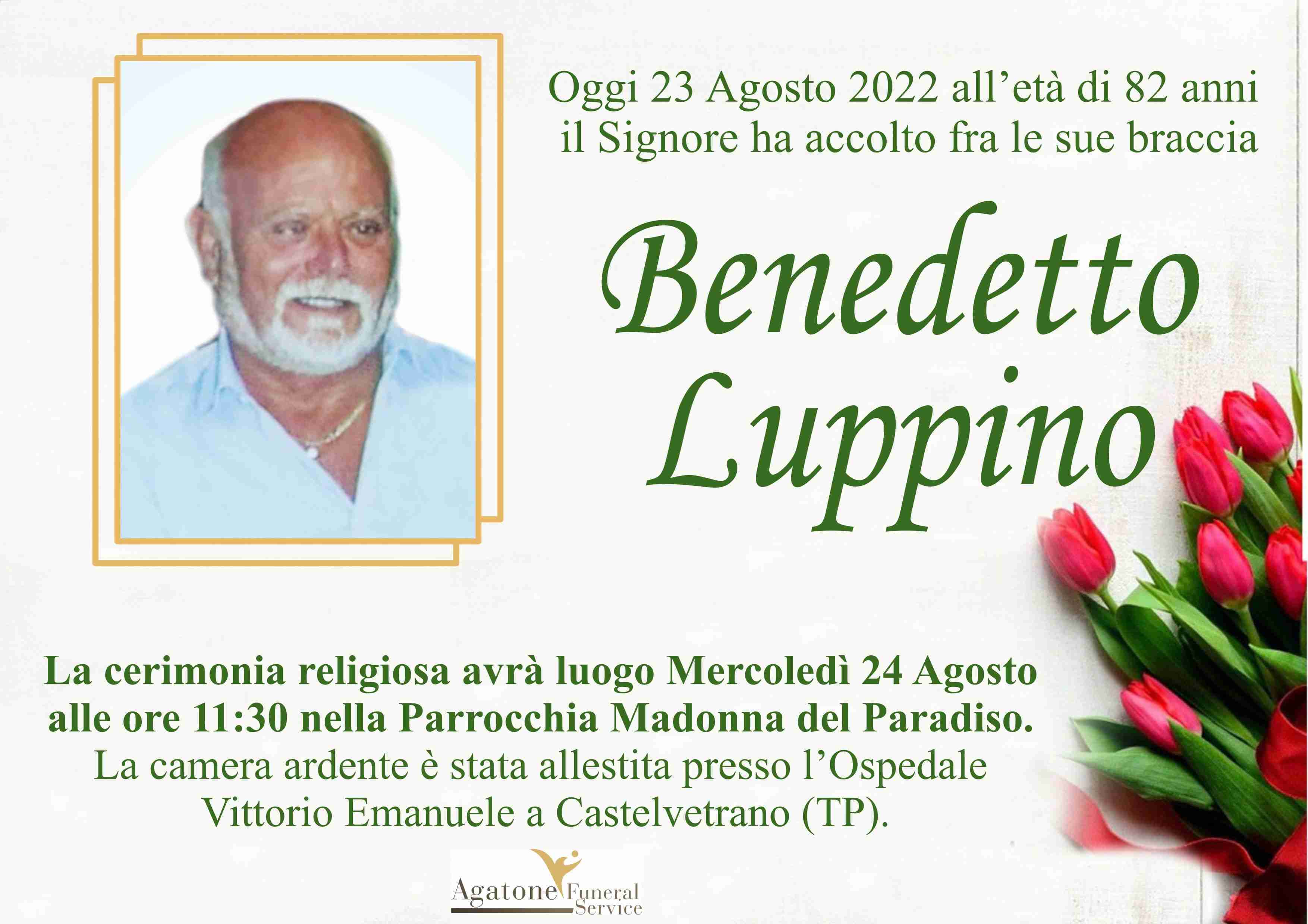 Benedetto Luppino