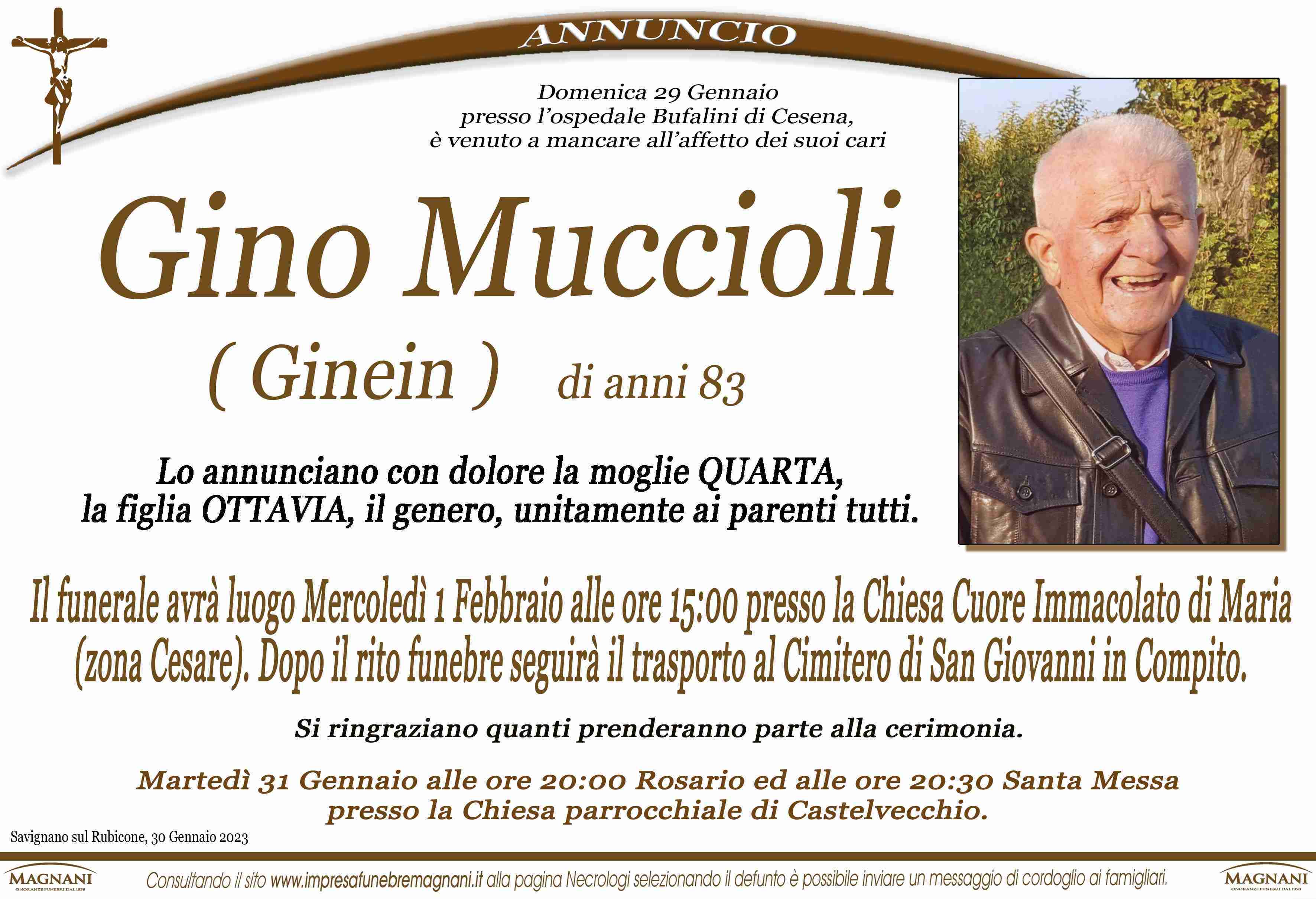 Gino Muccioli