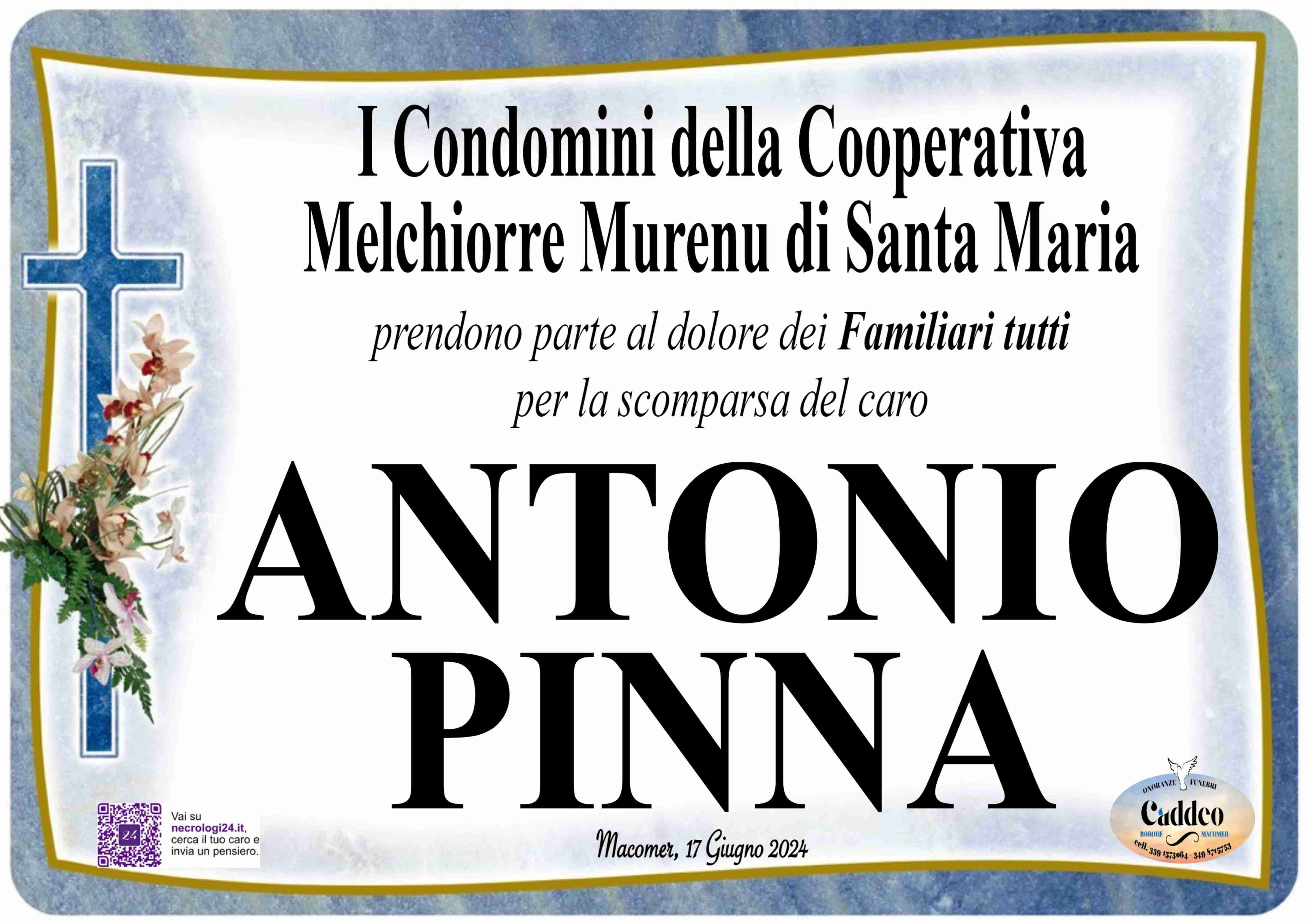 Antonio Pinna