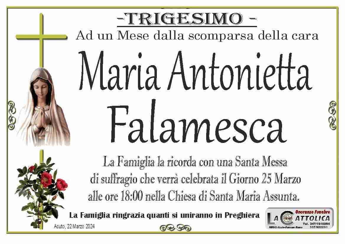 maria antonietta falamesca