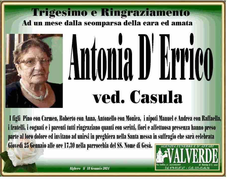 Antonia D' Errico
