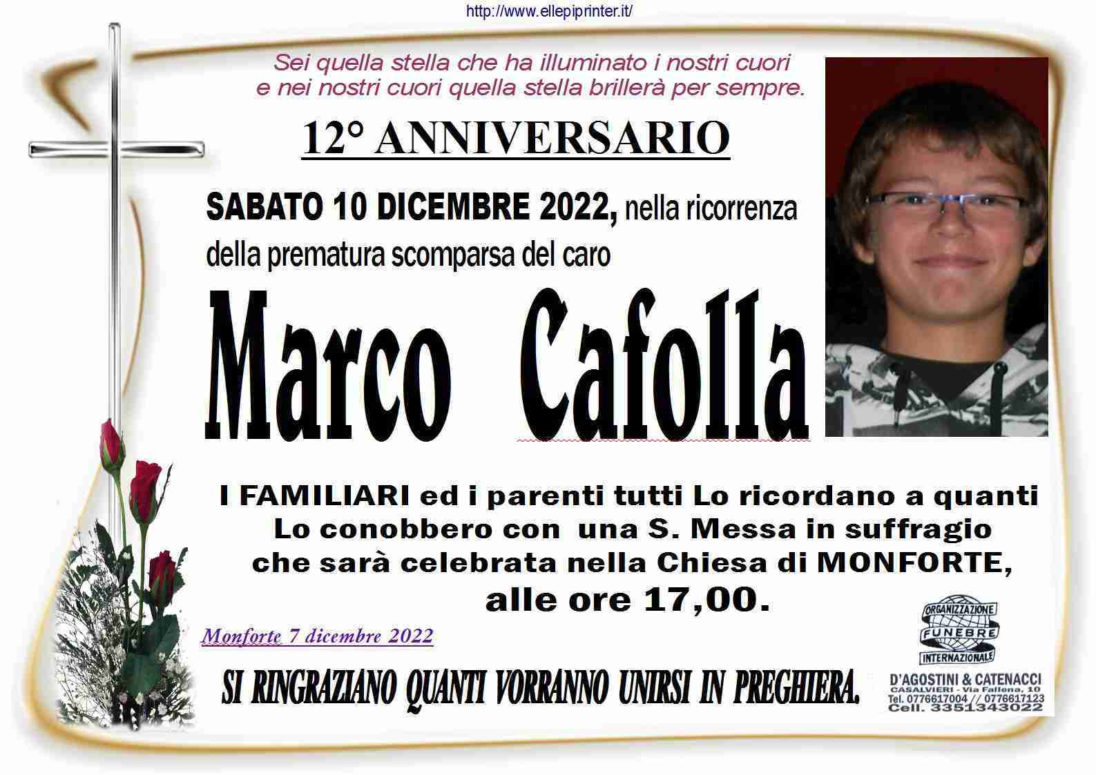 Marco Cafolla