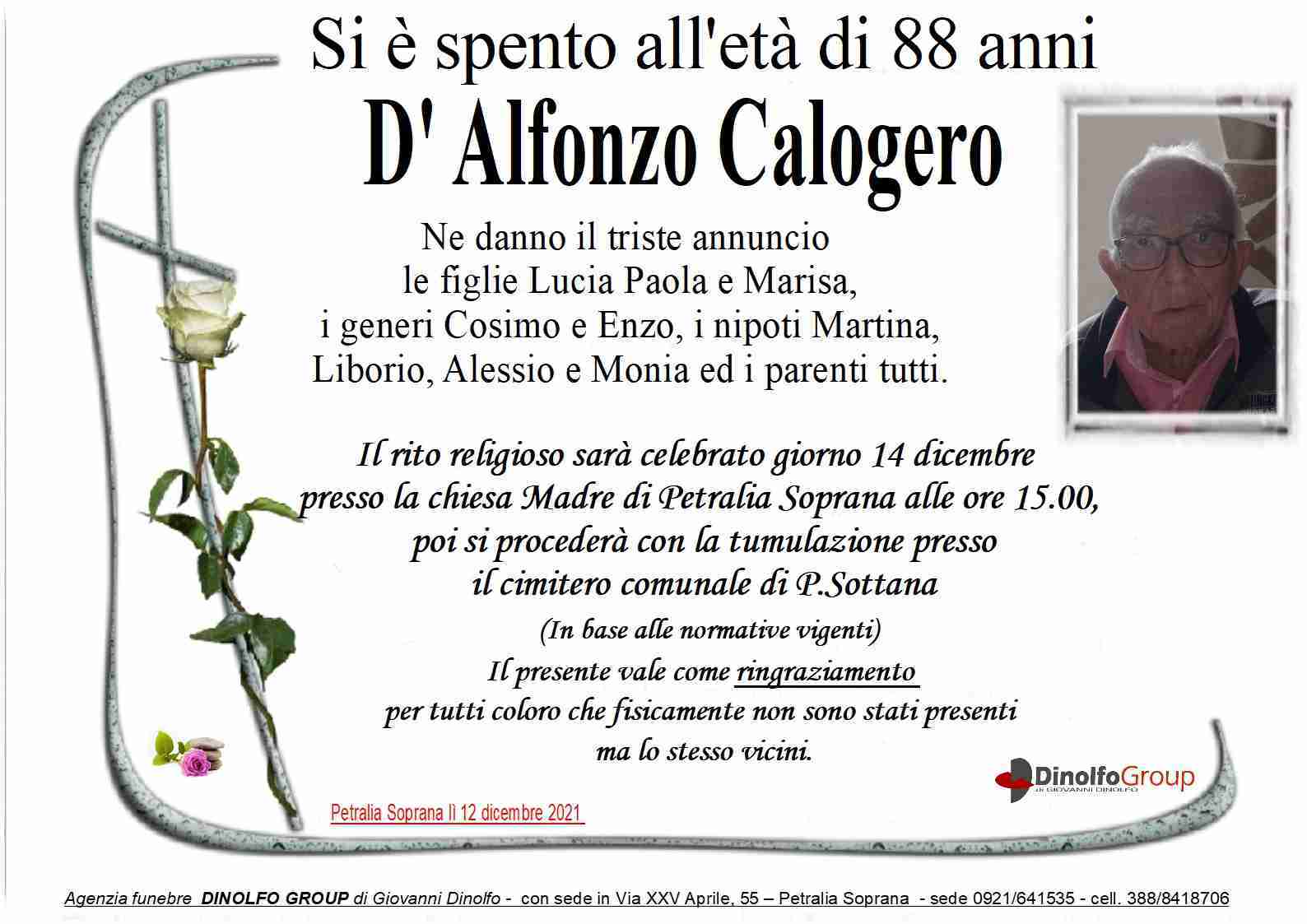 Calogero D'Alfonzo