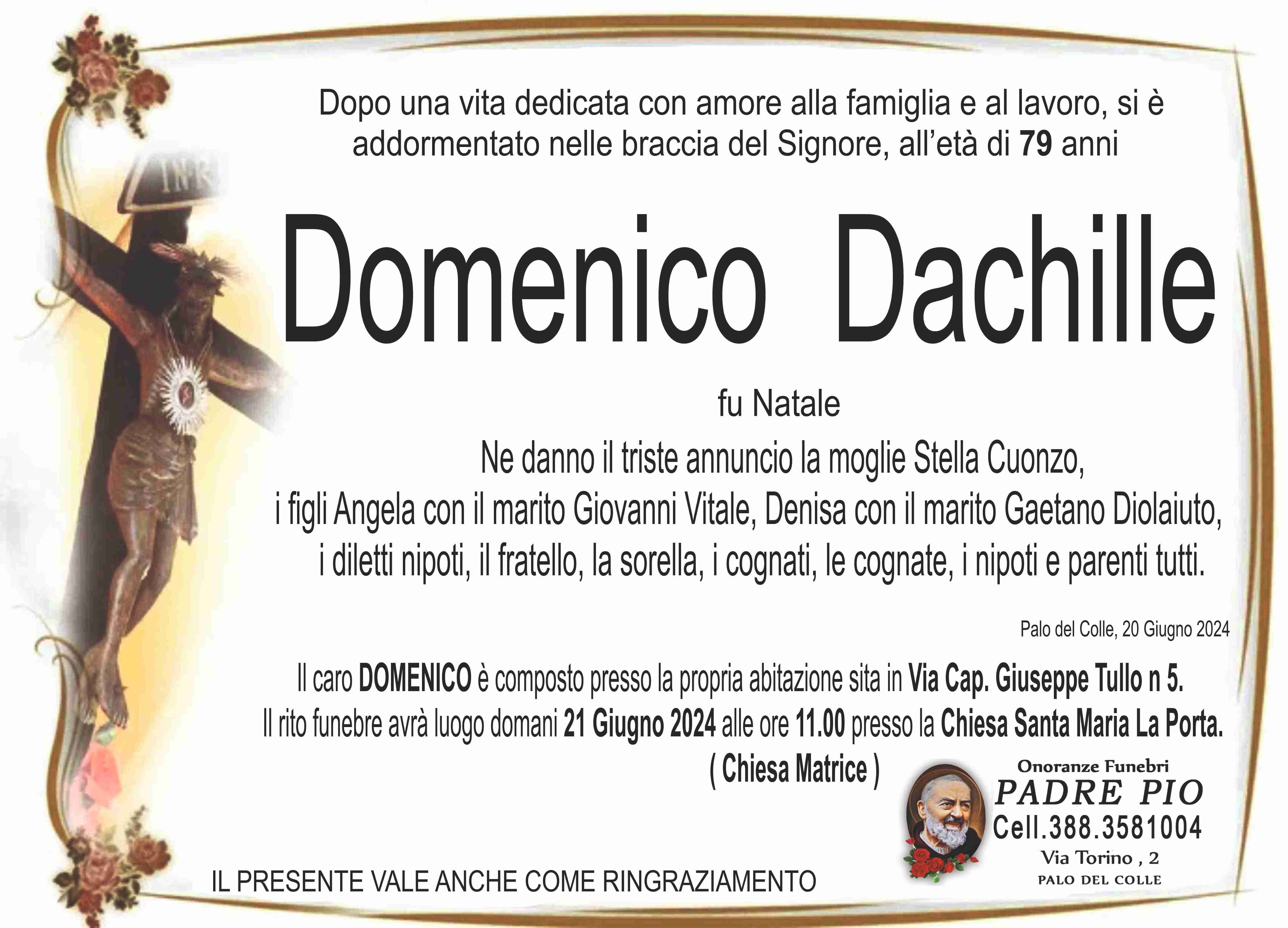 Domenico Dachille