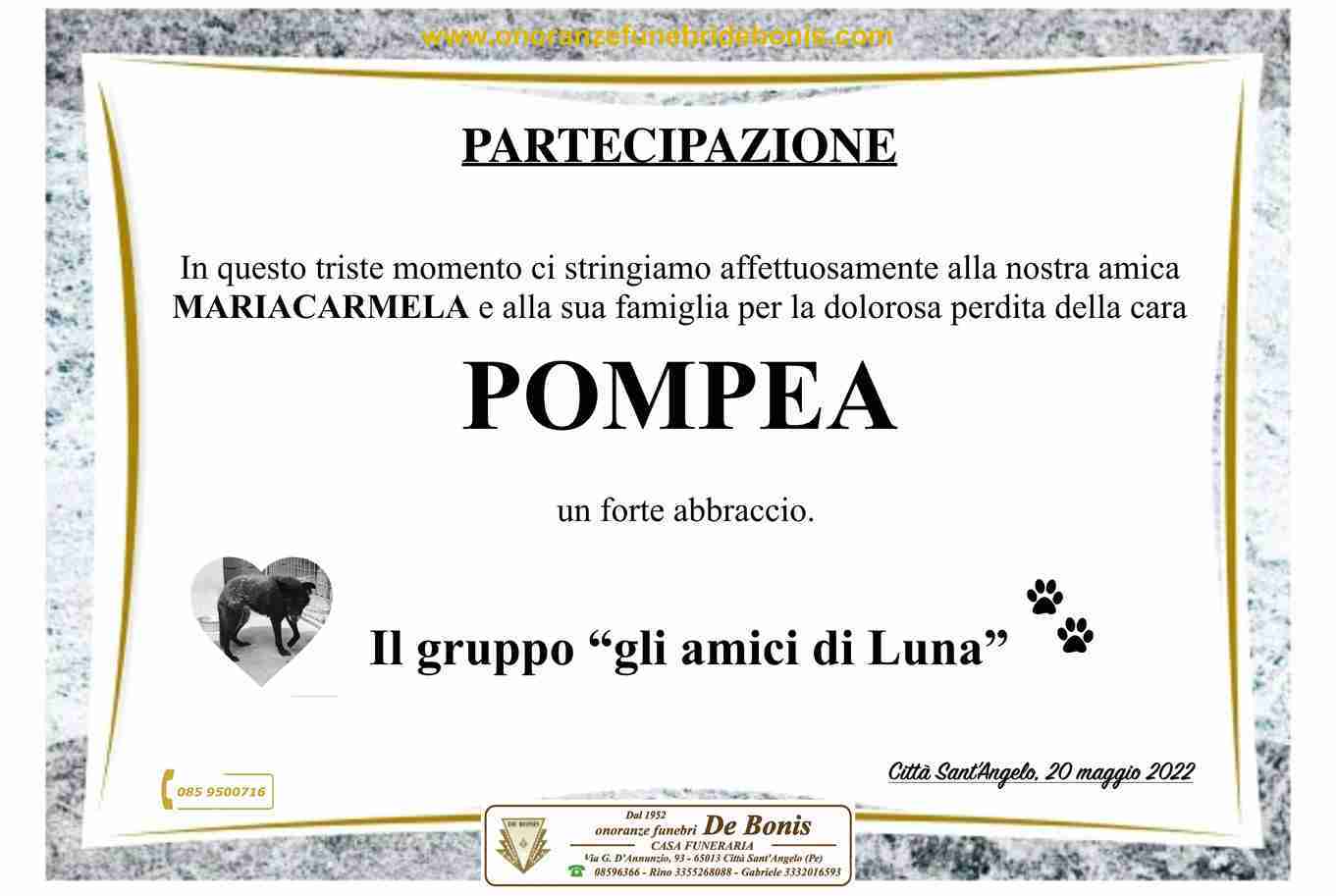 Pompea Pandolfi
