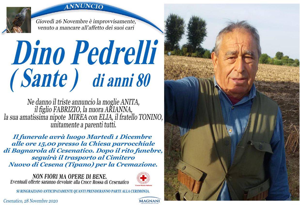 Dino Pedrelli