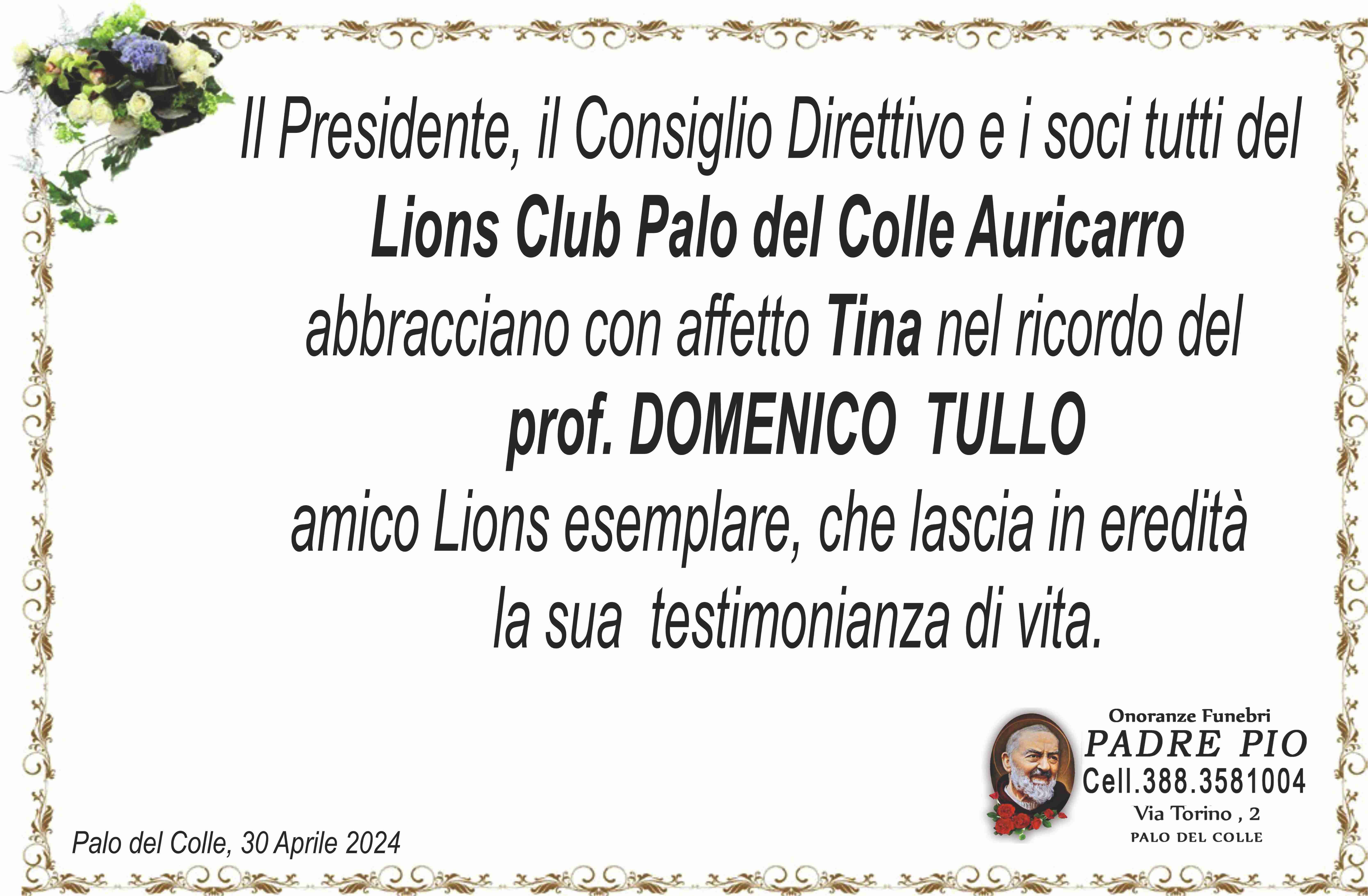 prof. Domenico Tullo