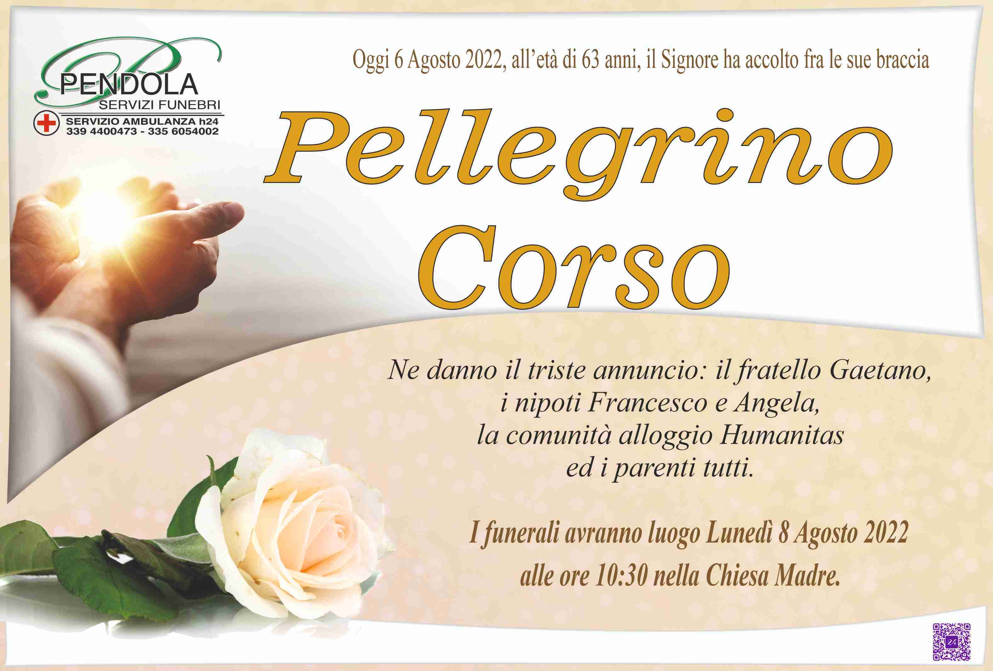 Pellegrino corso