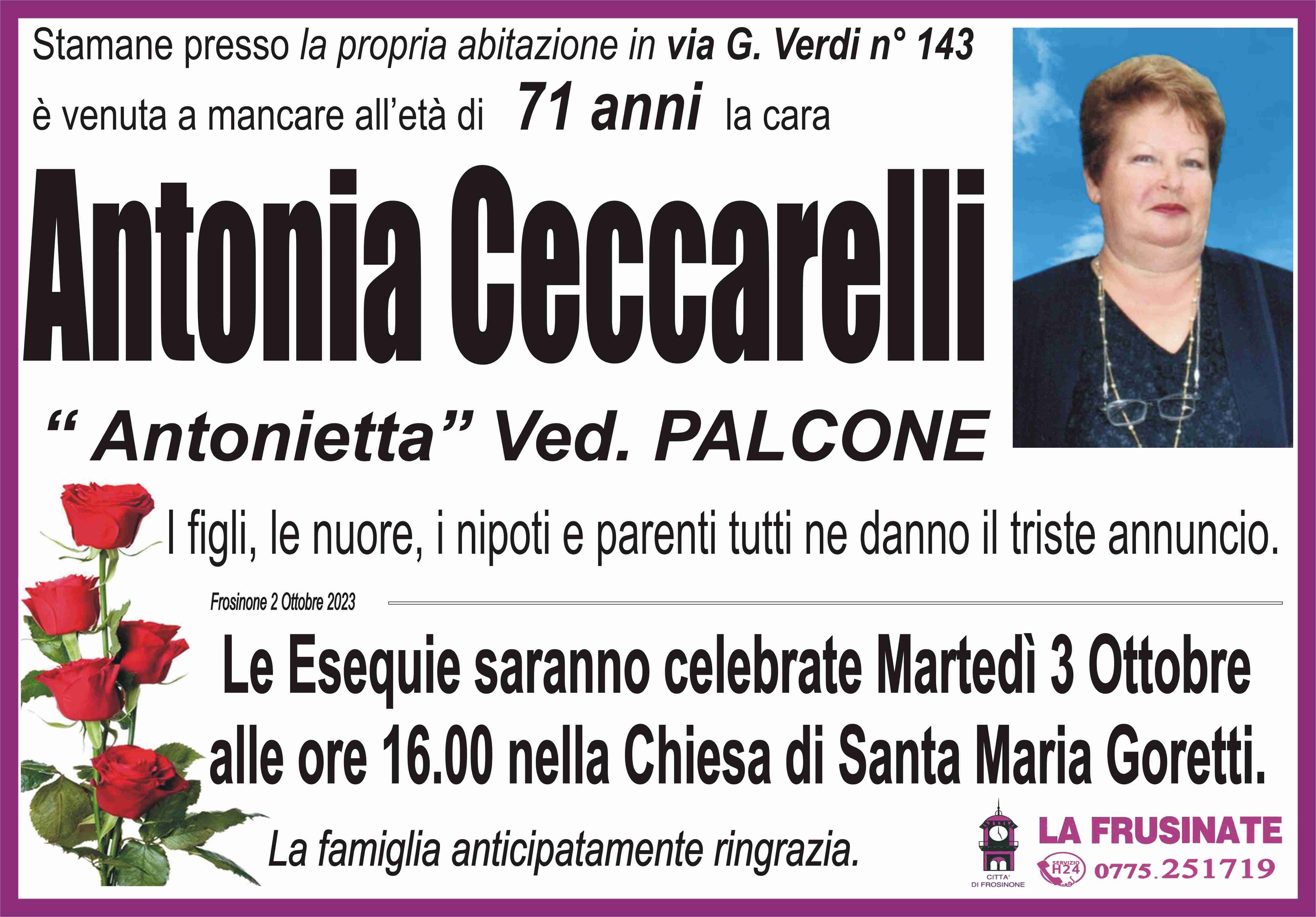 Antonia Ceccarelli