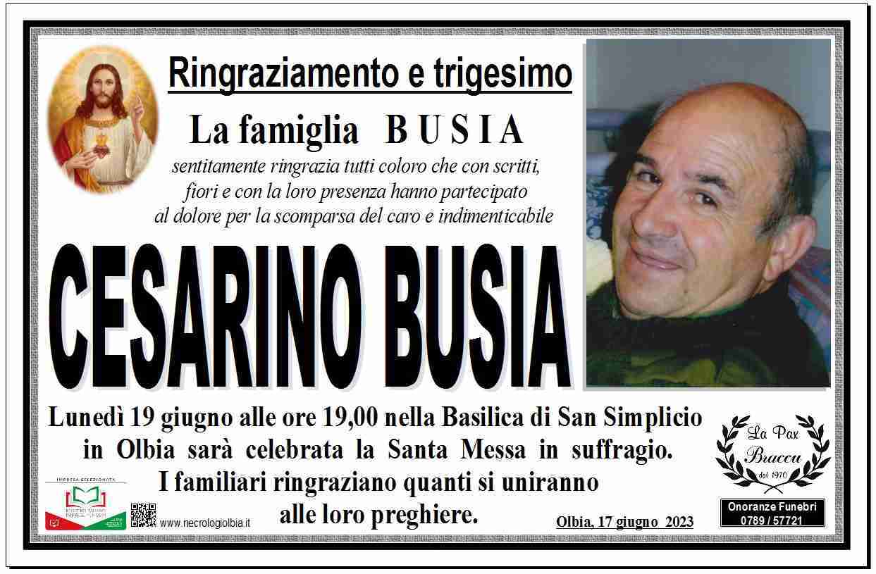 Cesarino Busia