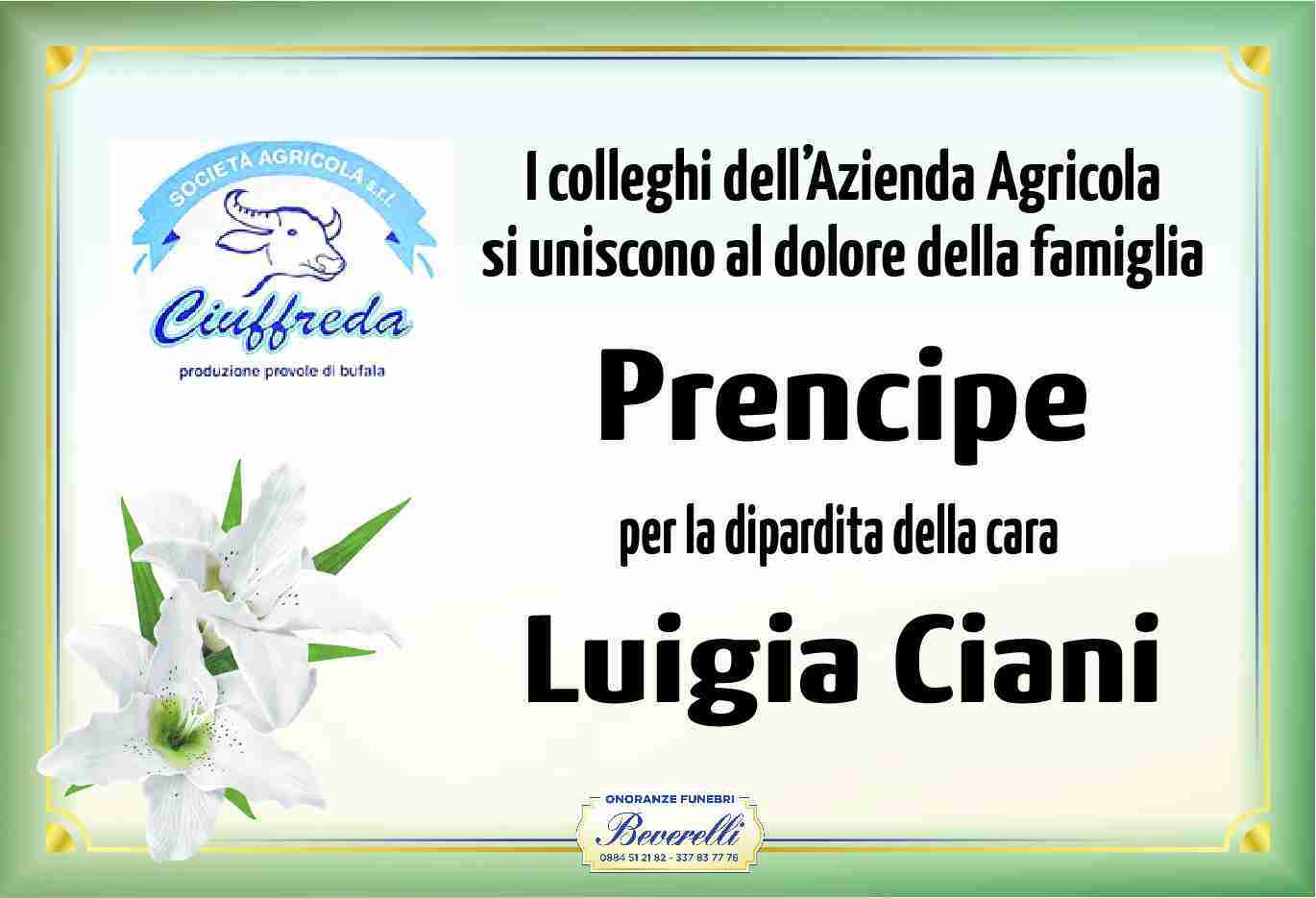 Luigia Ciani