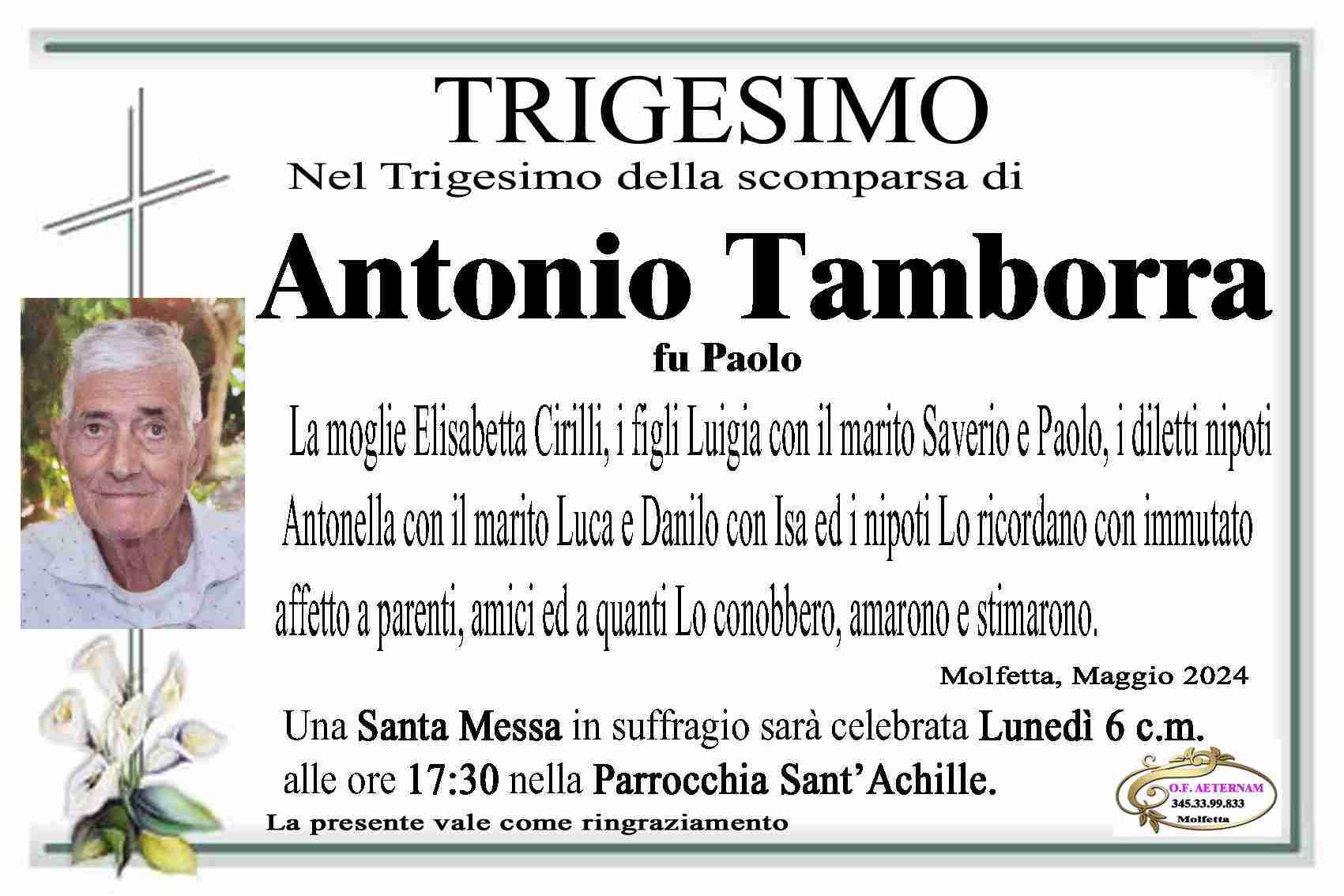 Antonio Tamborra